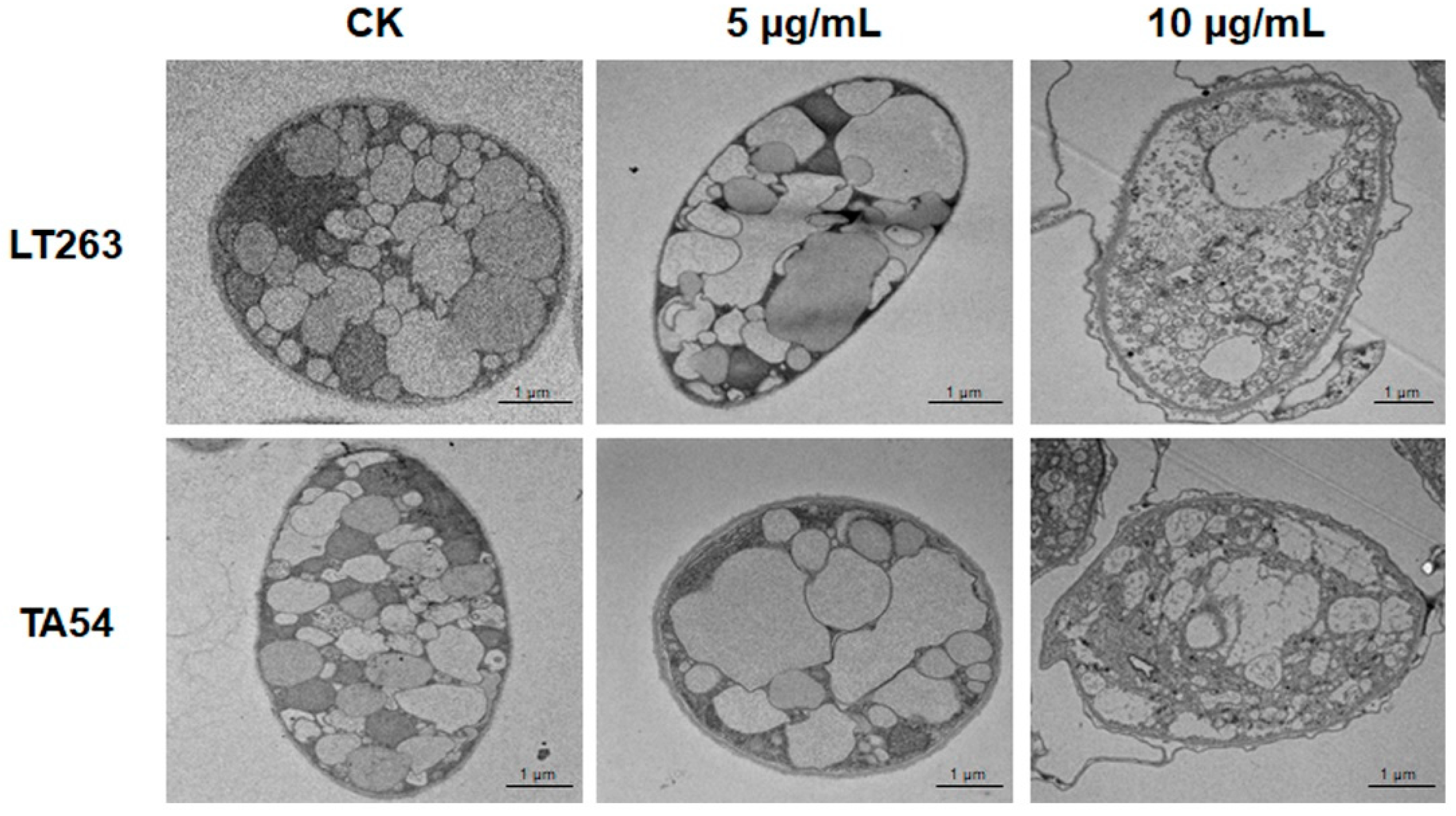 Molecules 28 02958 g003 Molecules 28 02958 g003