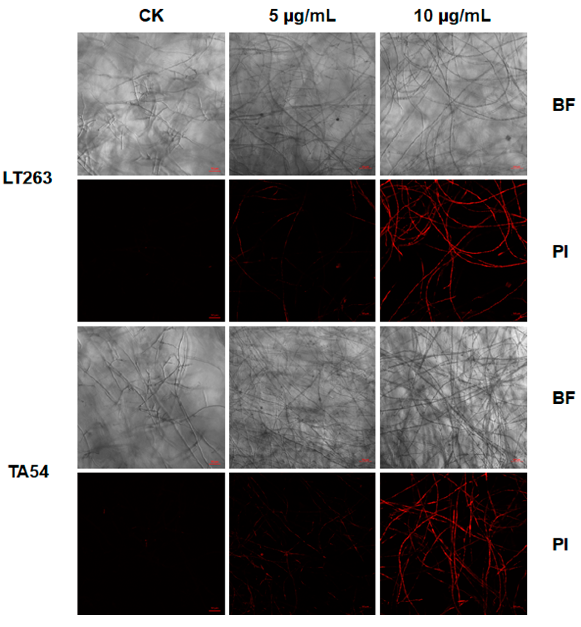 Molecules 28 02958 g005 Molecules 28 02958 g005