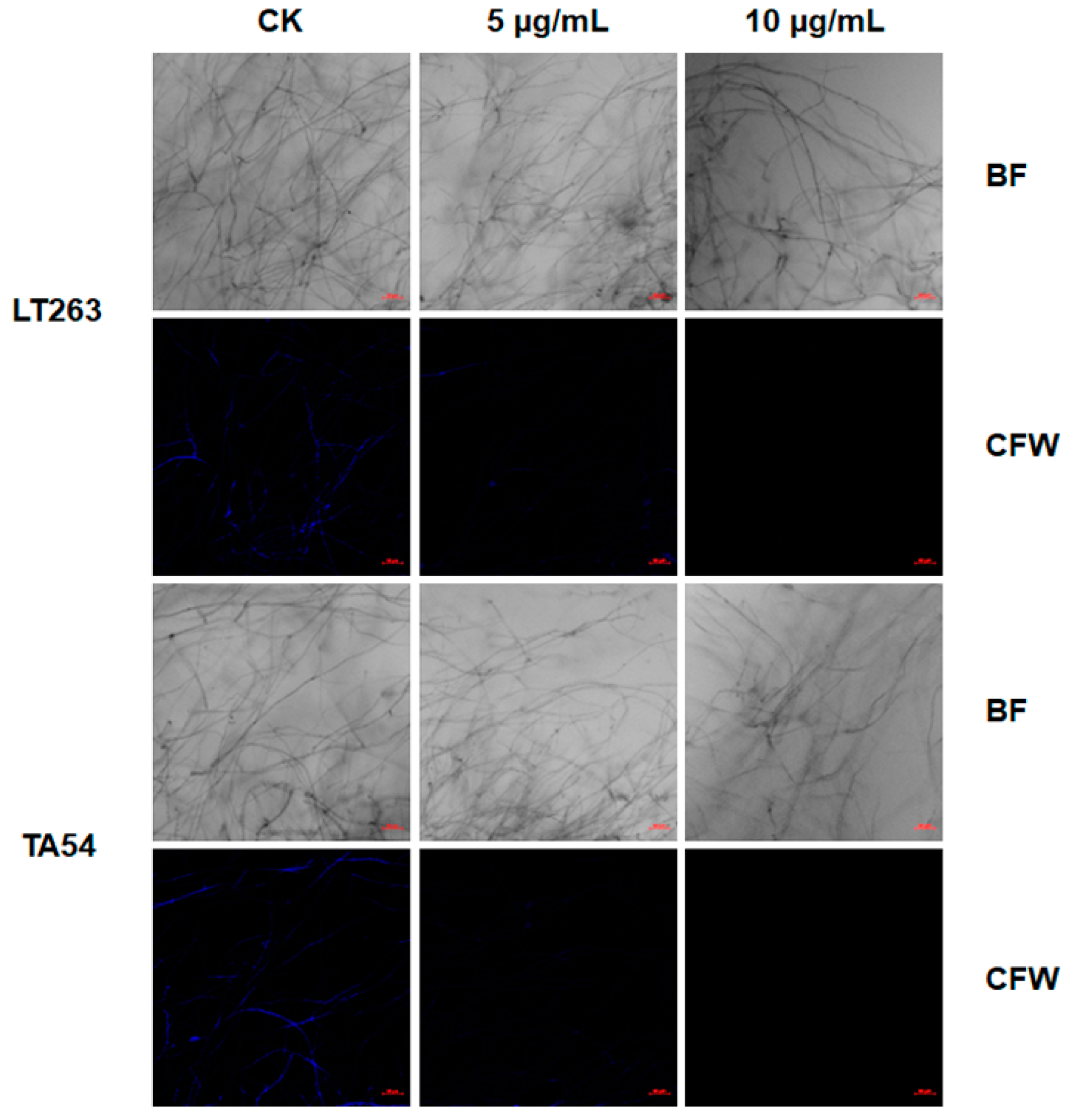 Molecules 28 02958 g006 Molecules 28 02958 g006