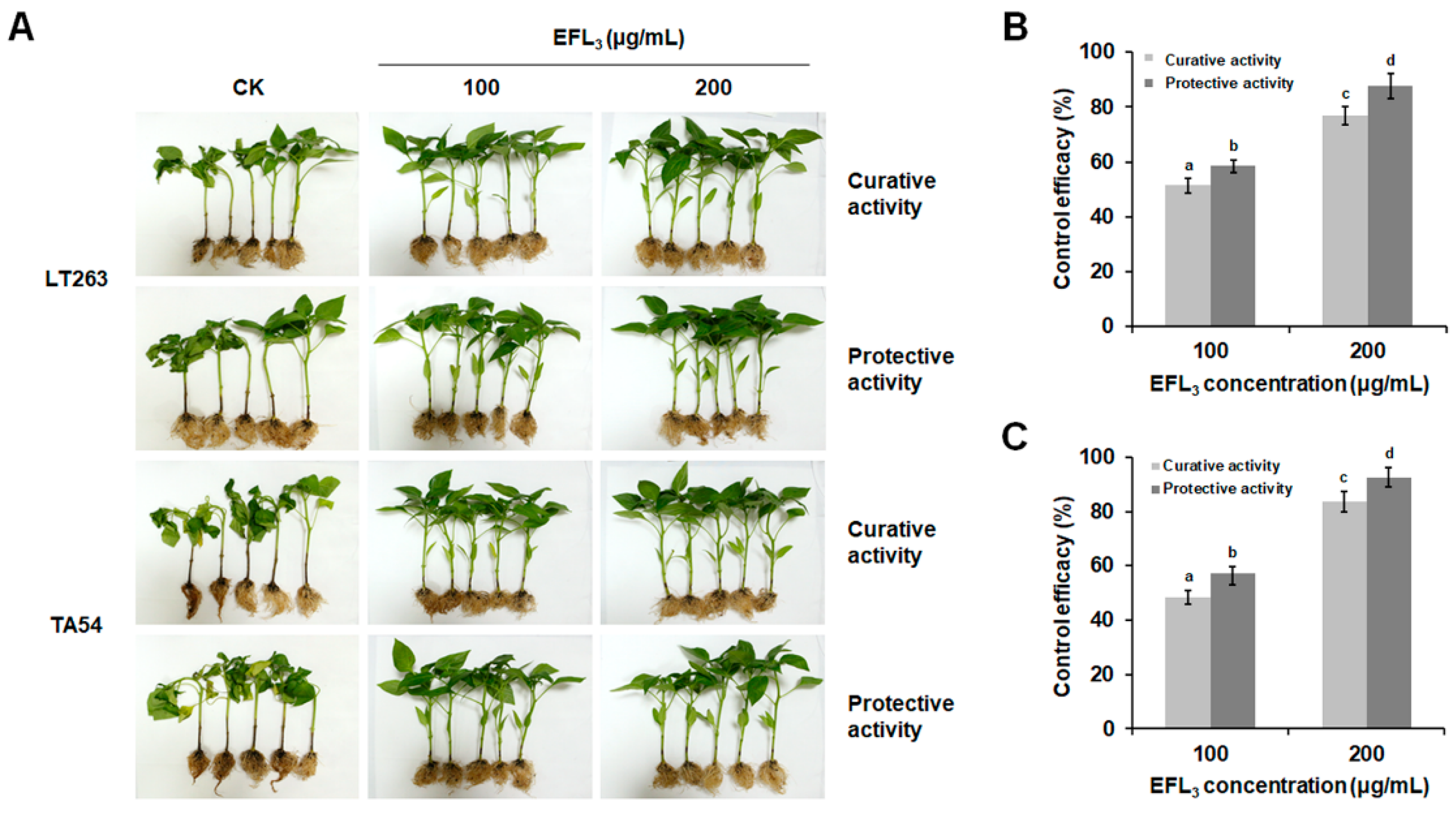 Molecules 28 02958 g009 Molecules 28 02958 g009