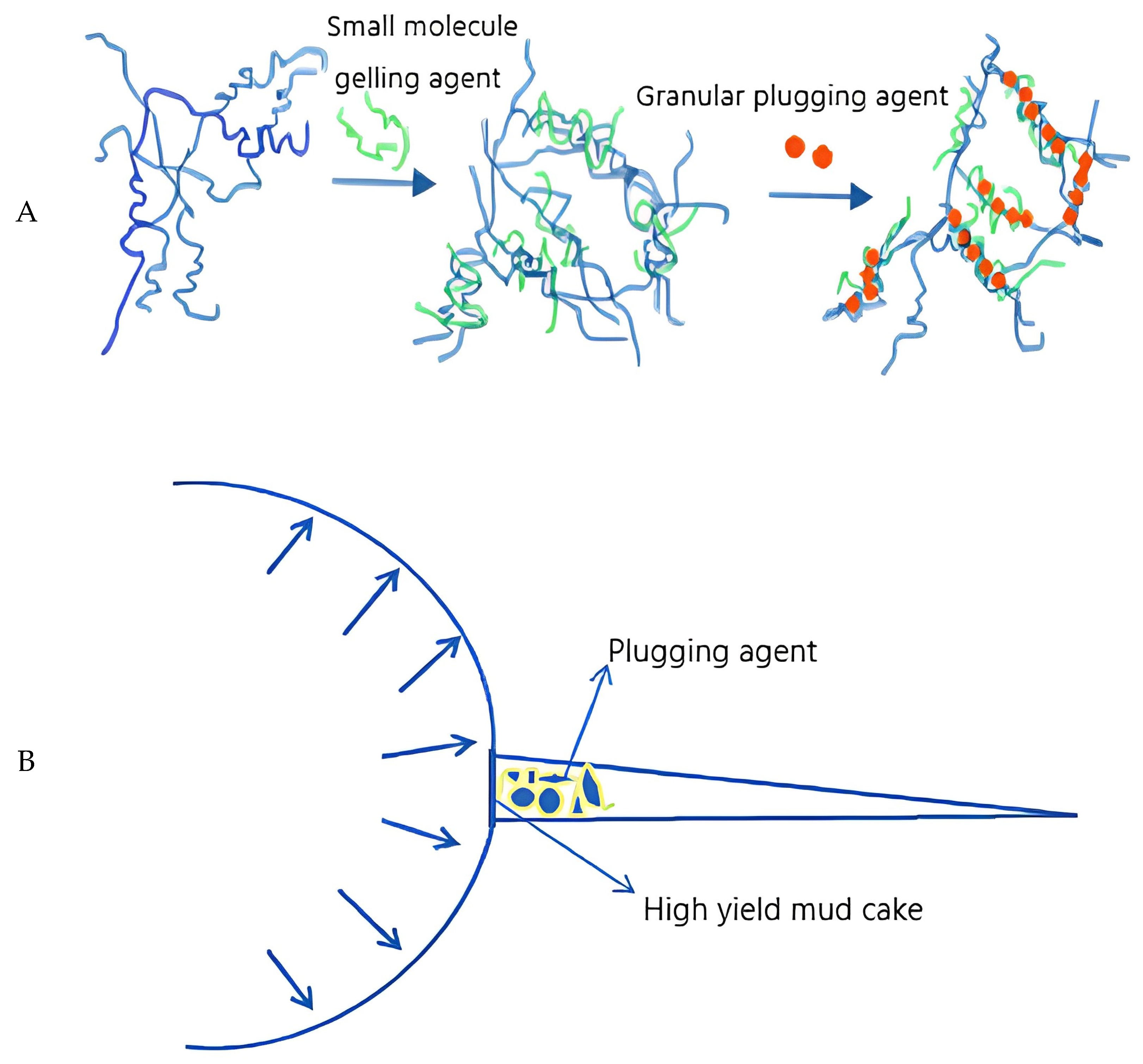Molecules 28 02975 g004a