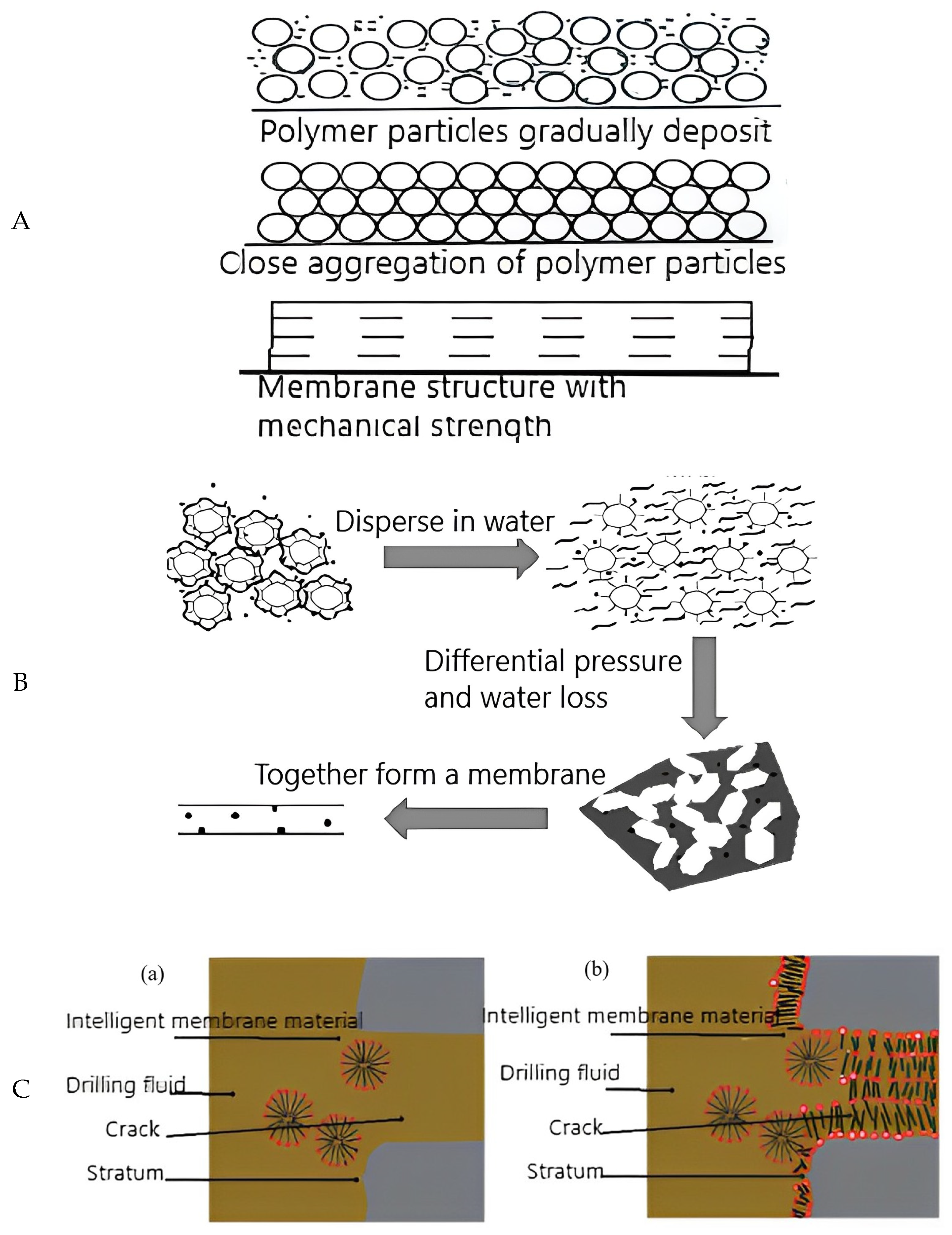 Molecules 28 02975 g006