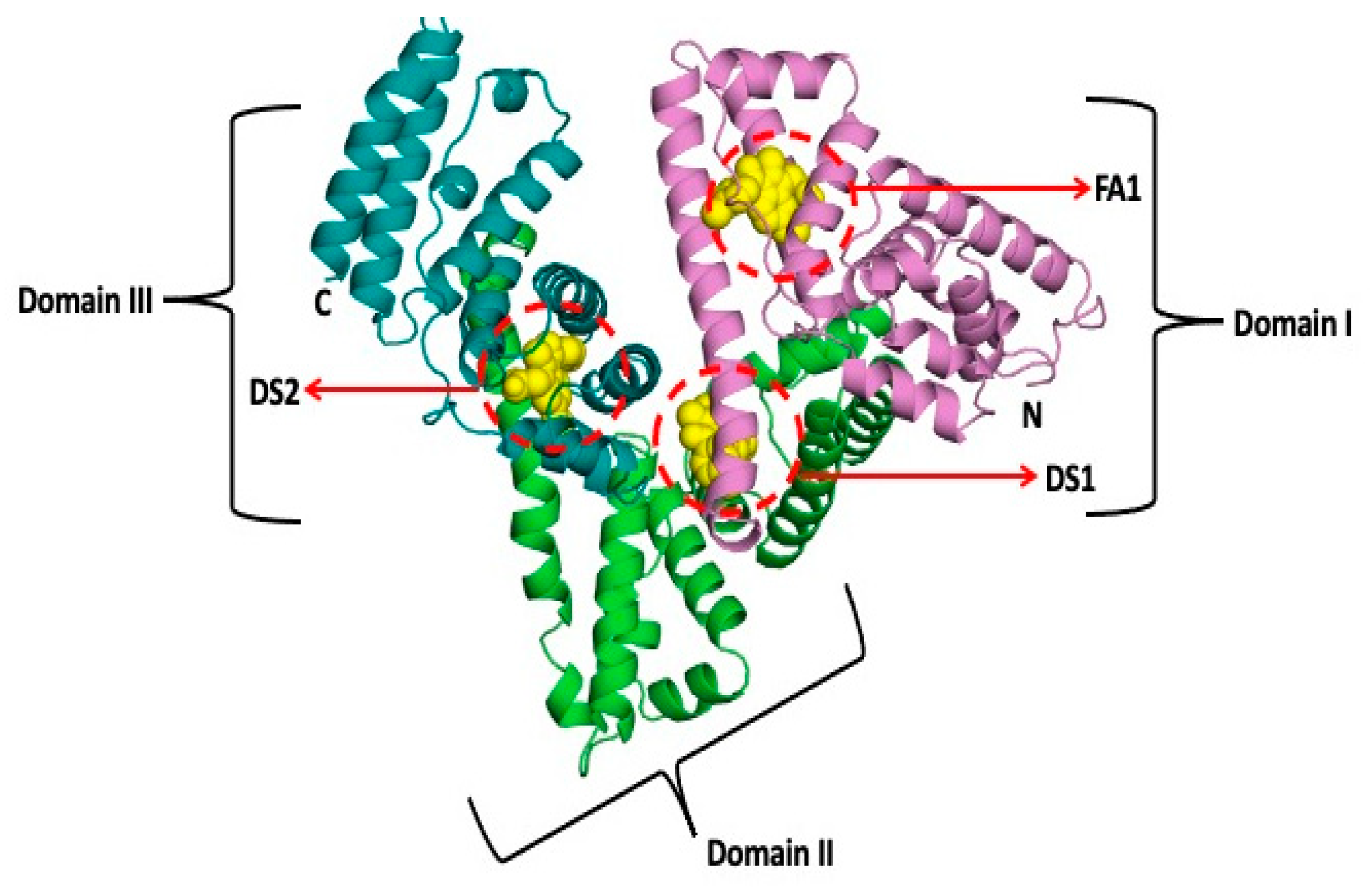 Molecular dynamics simulation of HSA-ligand complex for 50 ns time