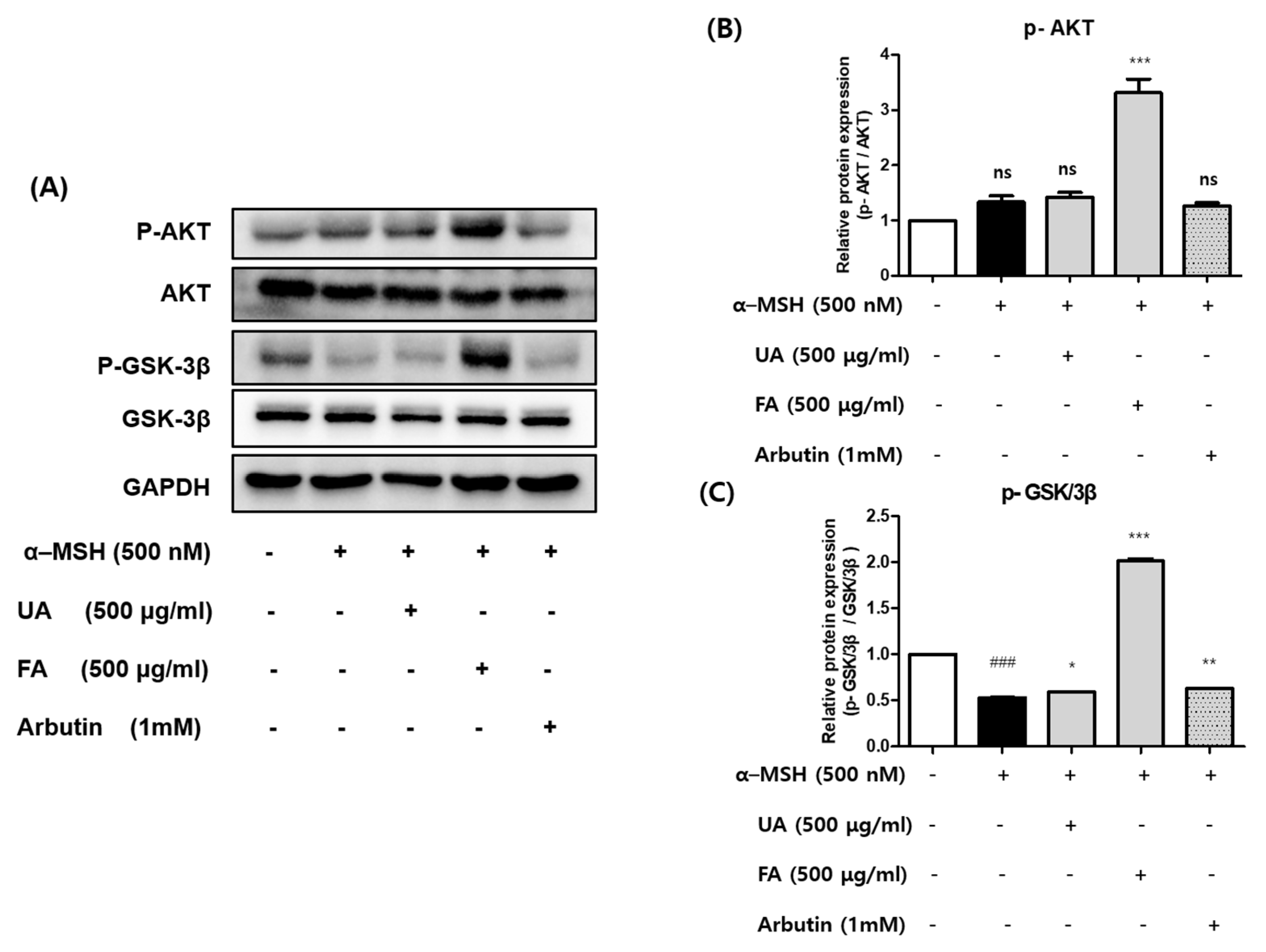 Molecules 28 02981 g004 Molecules 28 02981 g004