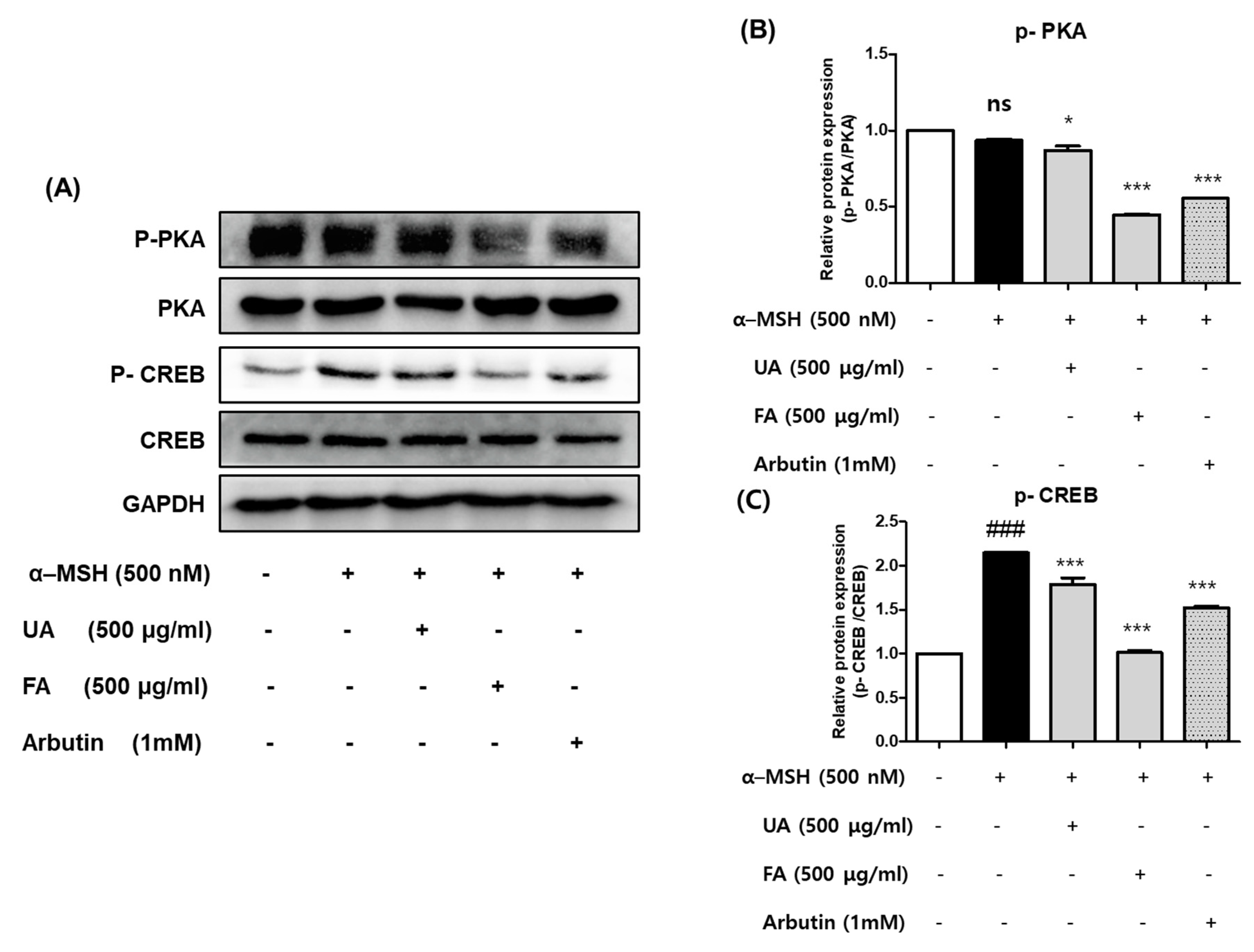 Molecules 28 02981 g005 Molecules 28 02981 g005
