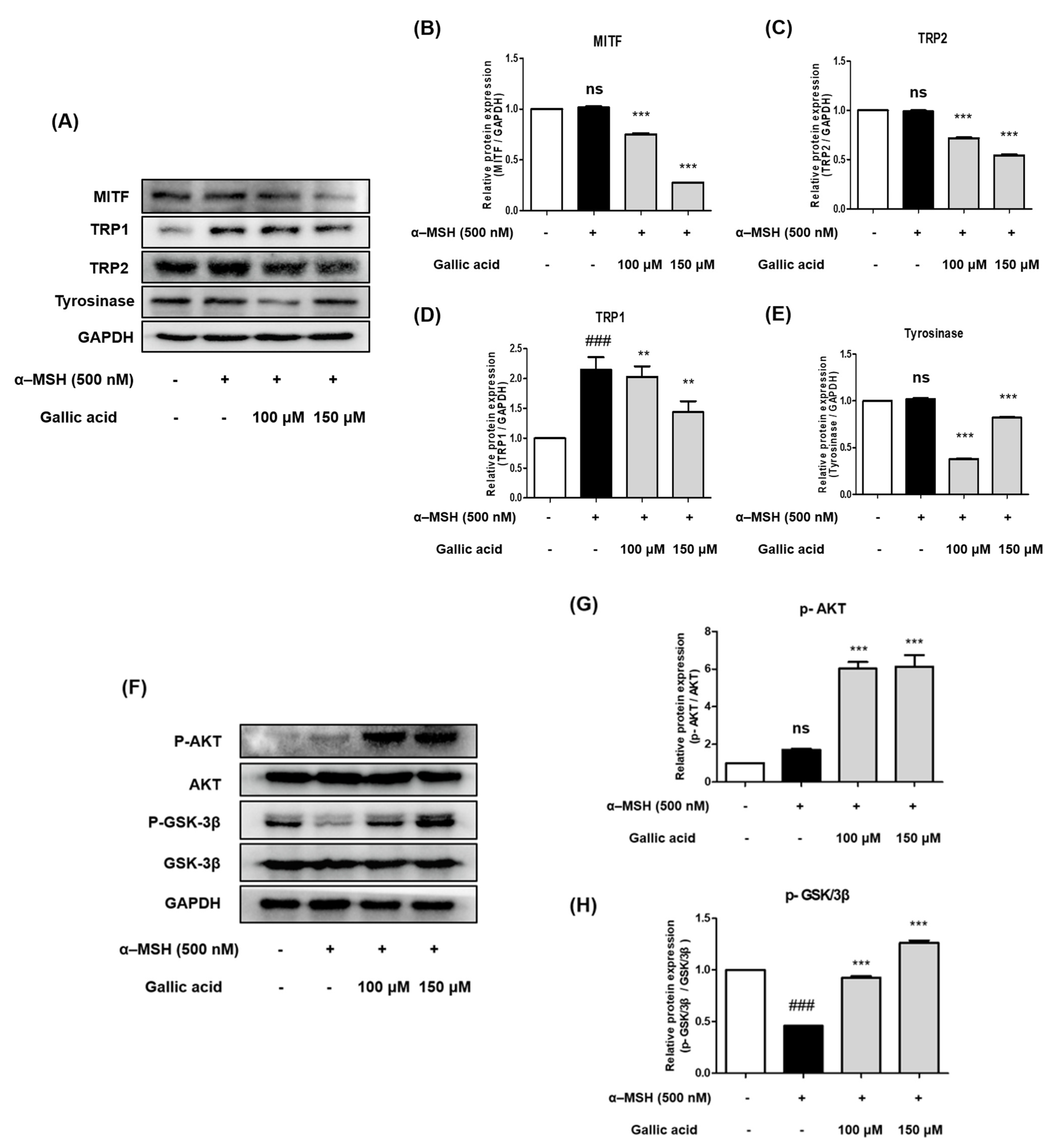 Molecules 28 02981 g007a Molecules 28 02981 g007a