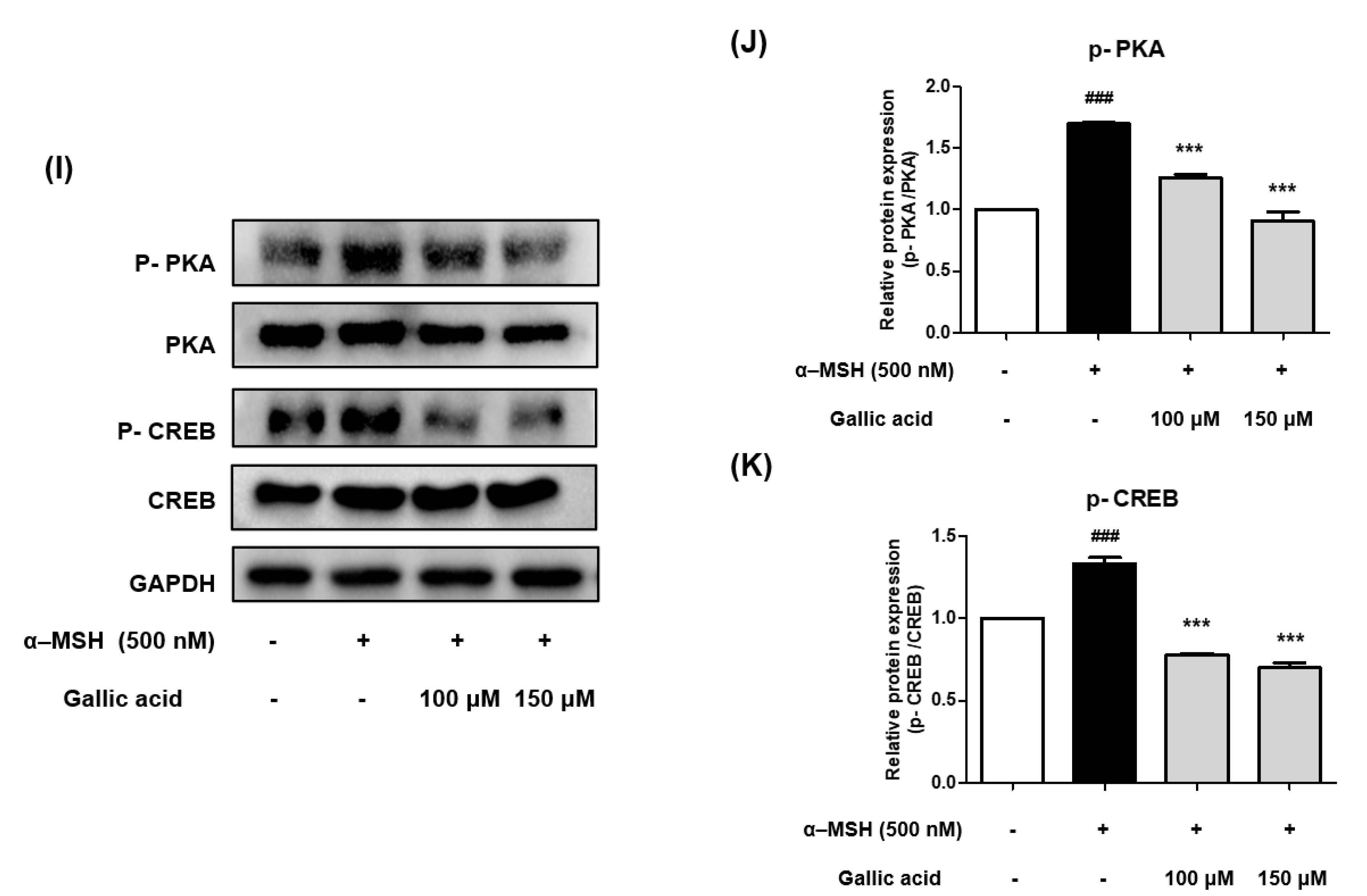 Molecules 28 02981 g007b Molecules 28 02981 g007b