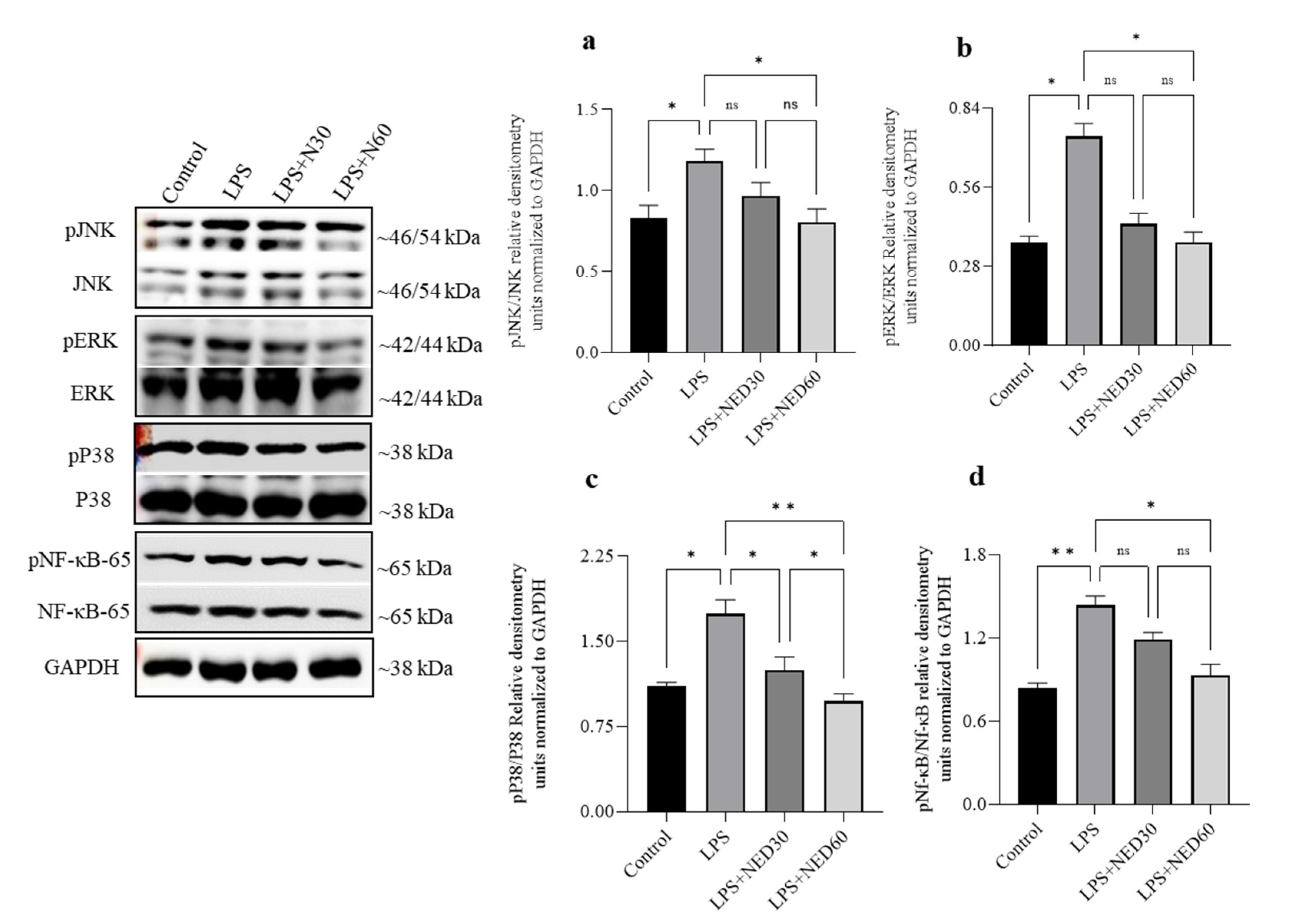 Molecules 28 02982 g003
