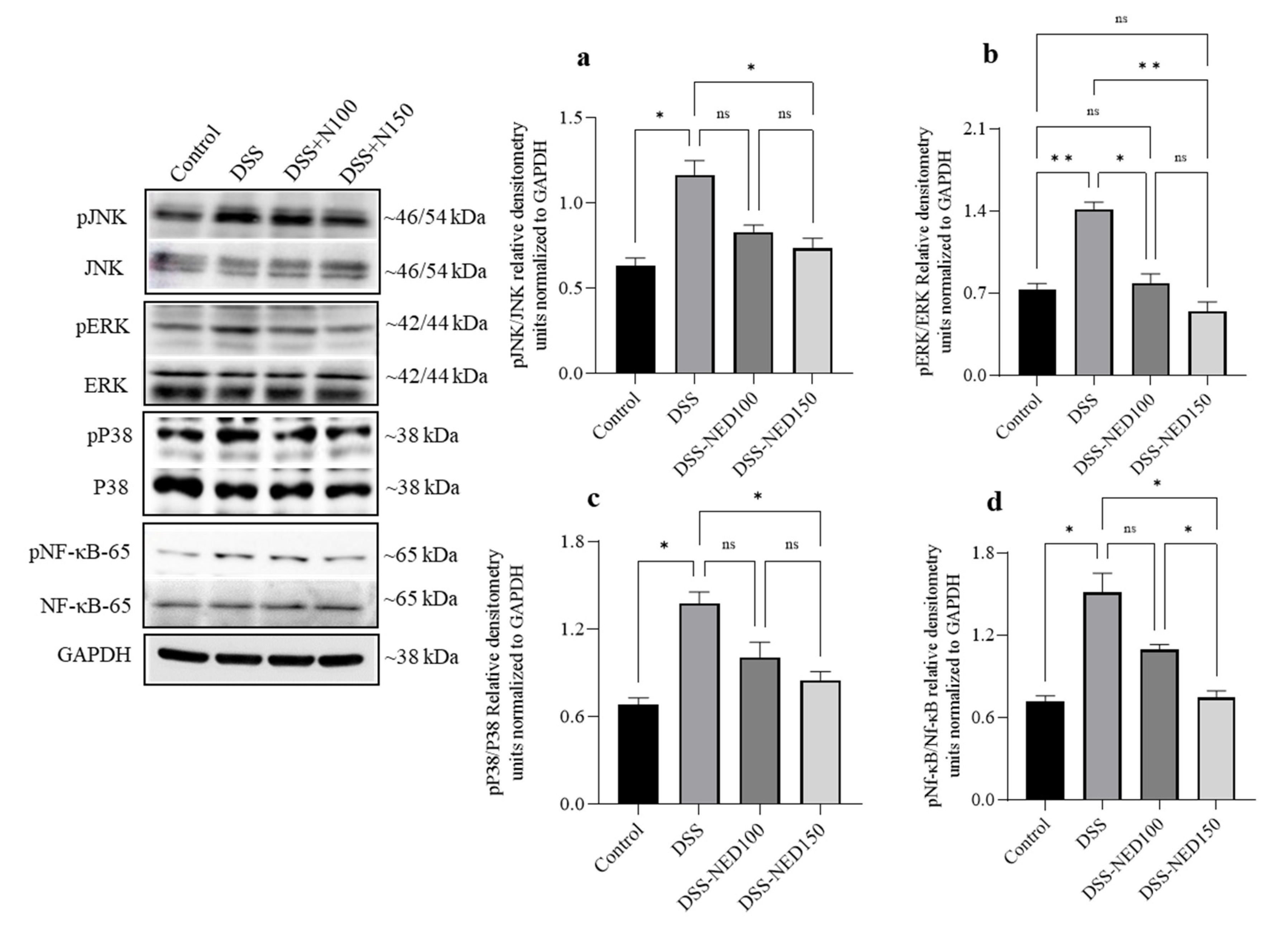 Molecules 28 02982 g004