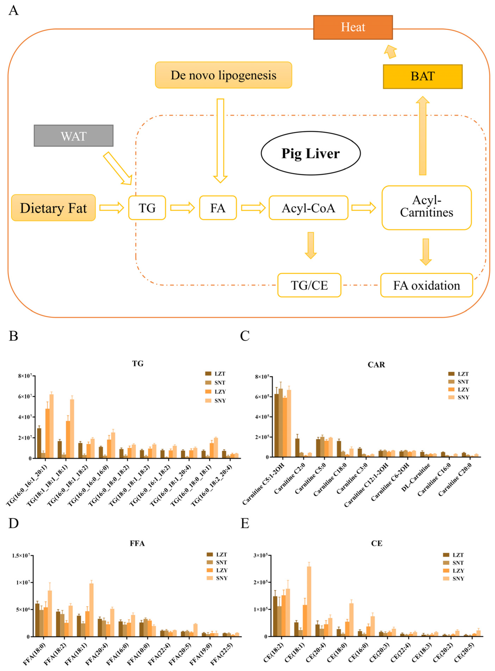 Molecules 28 02991 g004