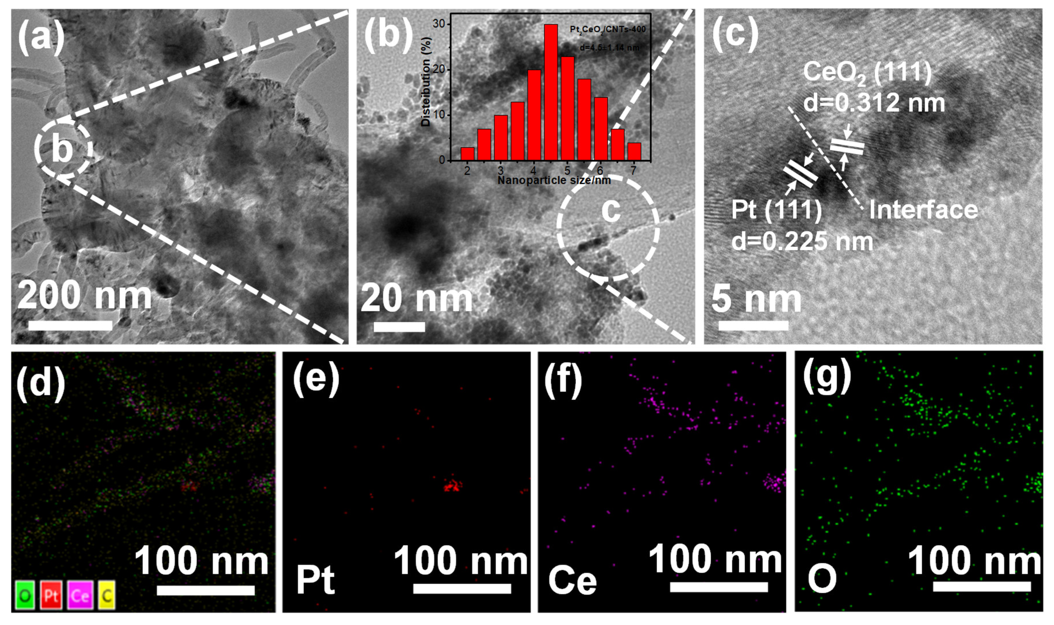 Molecules 28 02995 g002