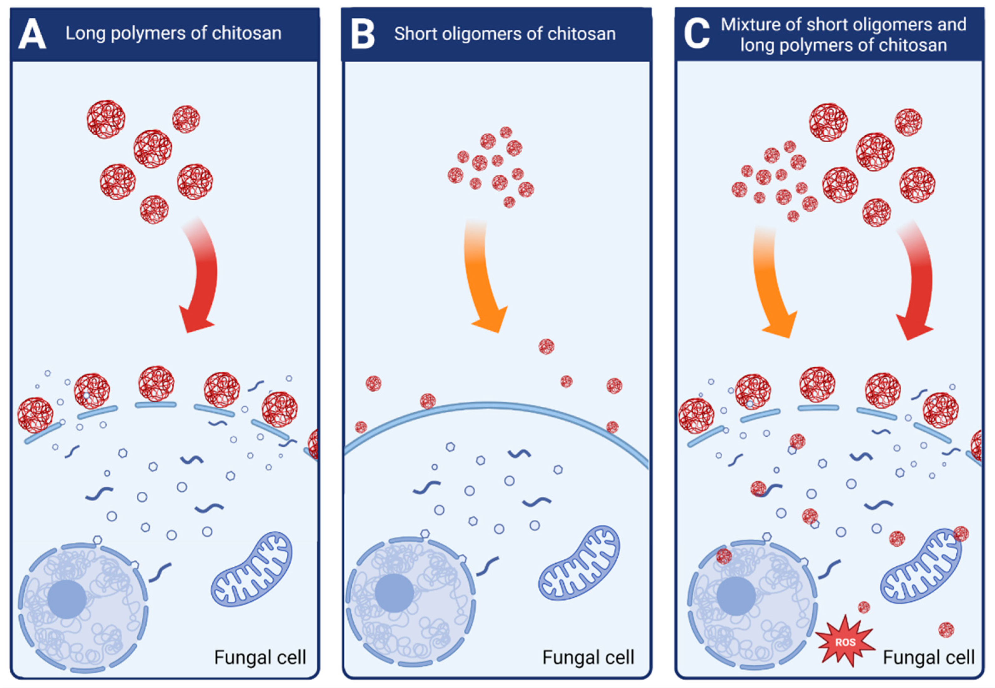 Molecules 28 02996 g004 Molecules 28 02996 g004
