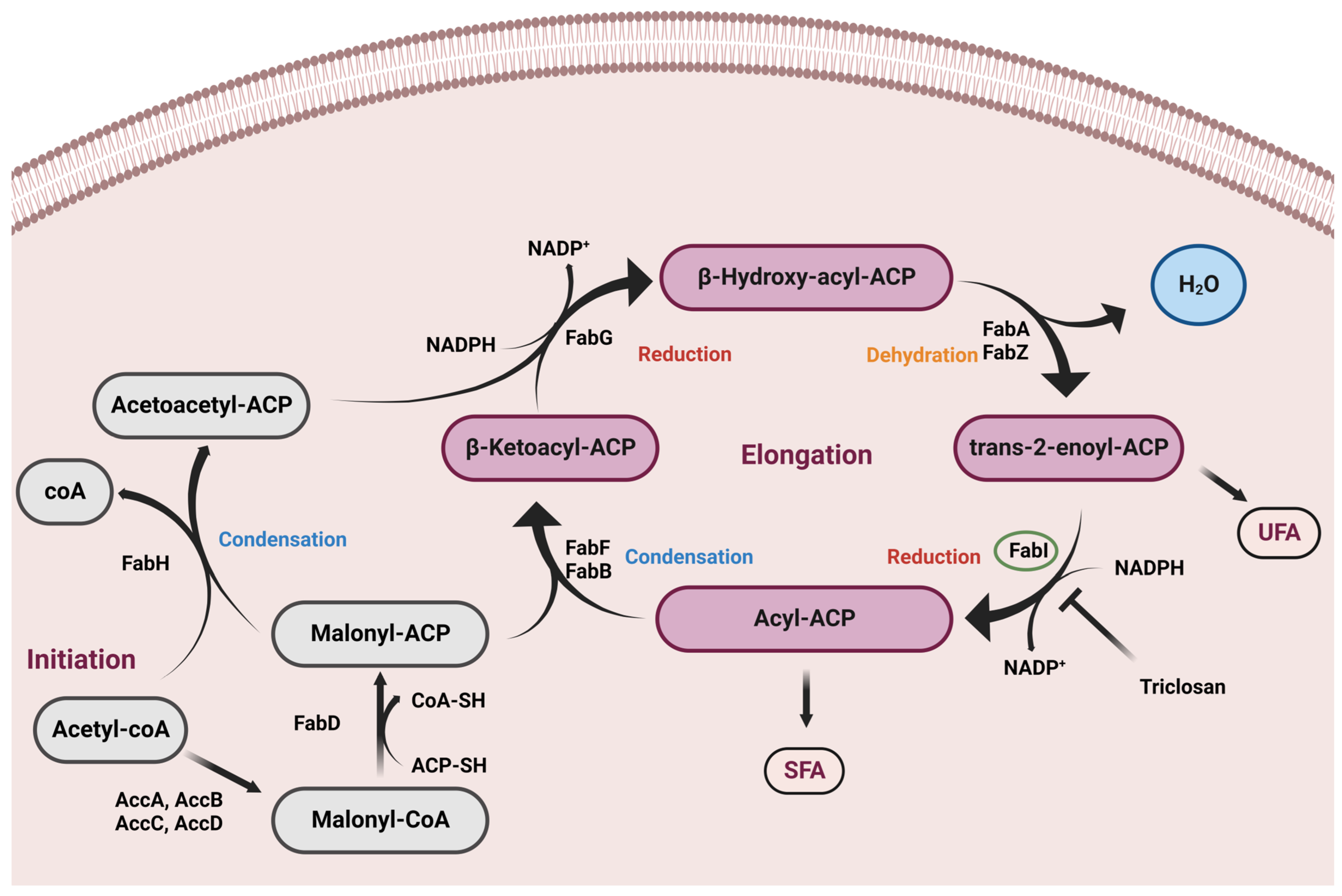Molecules 28 03000 g001 Molecules 28 03000 g001