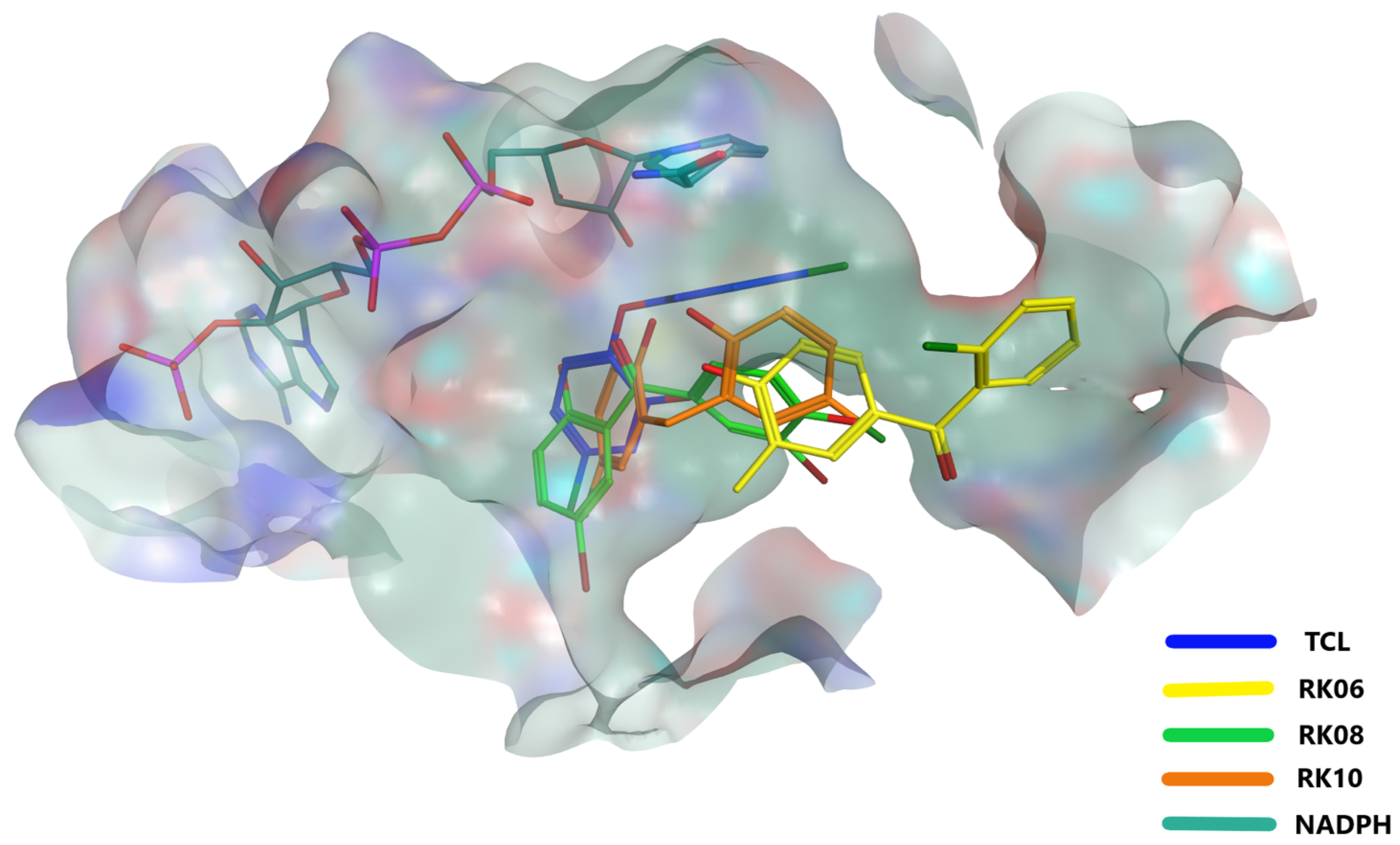 Molecules 28 03000 g004 Molecules 28 03000 g004