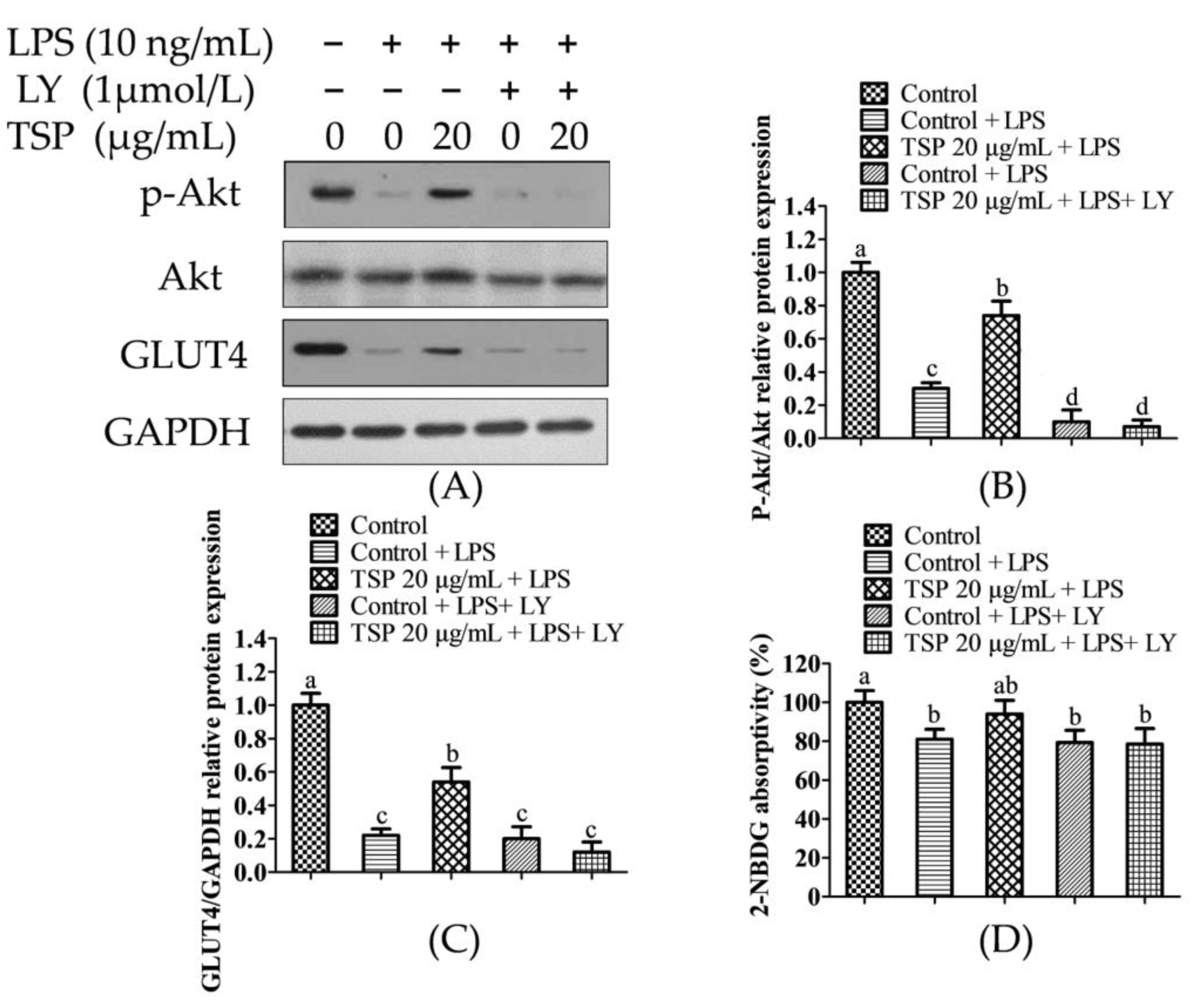 Molecules 28 03001 g004