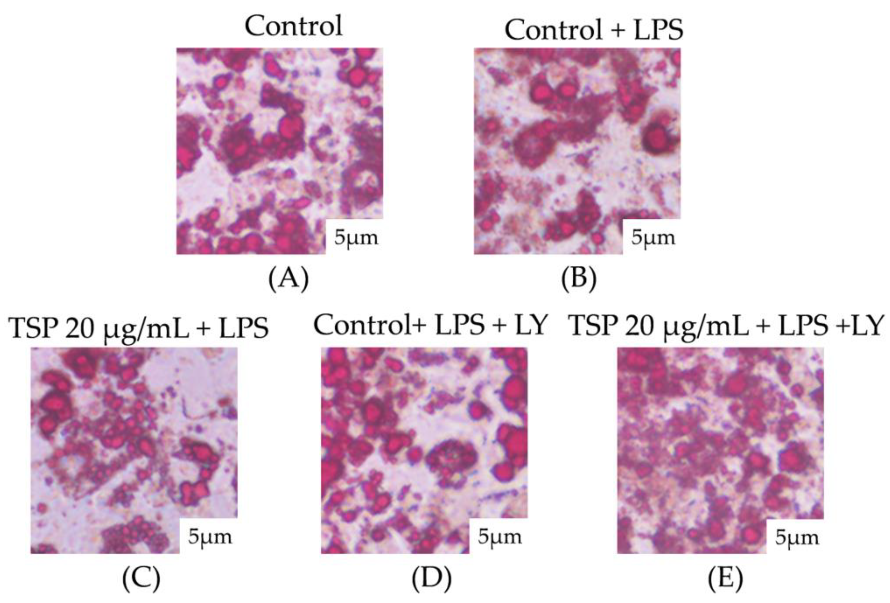 Molecules 28 03001 g005