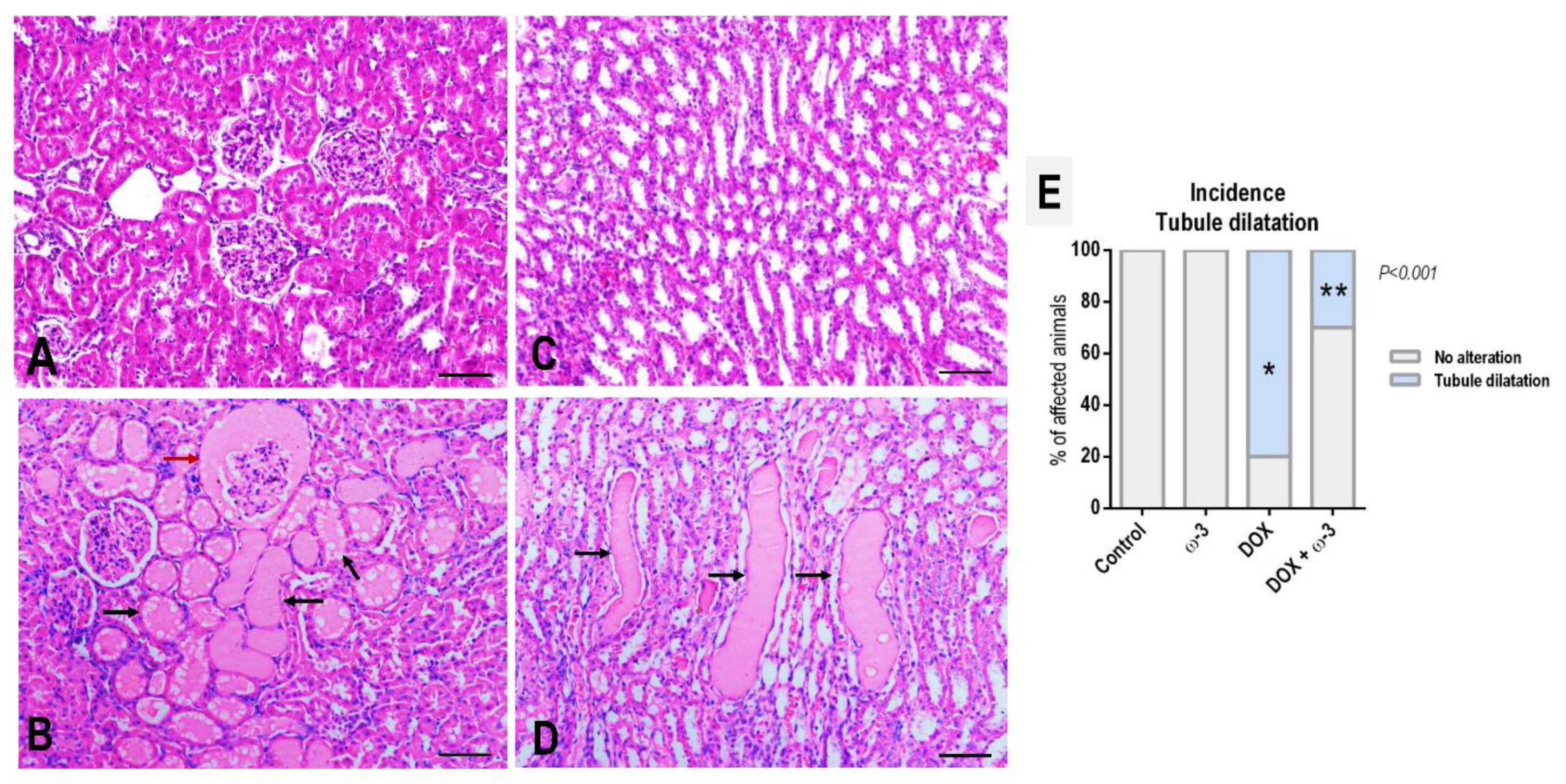 Molecules 28 03004 g002