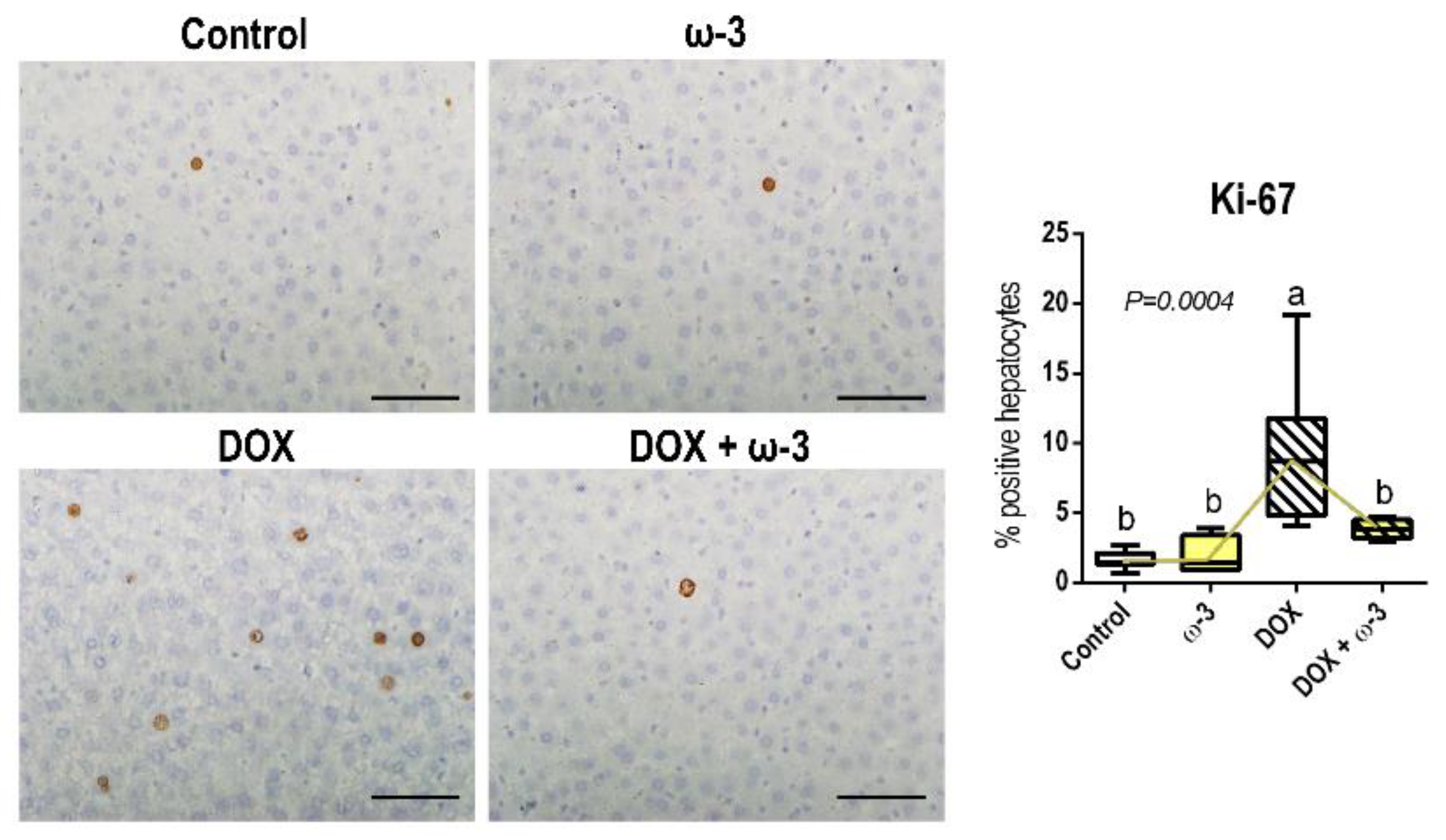 Molecules 28 03004 g004