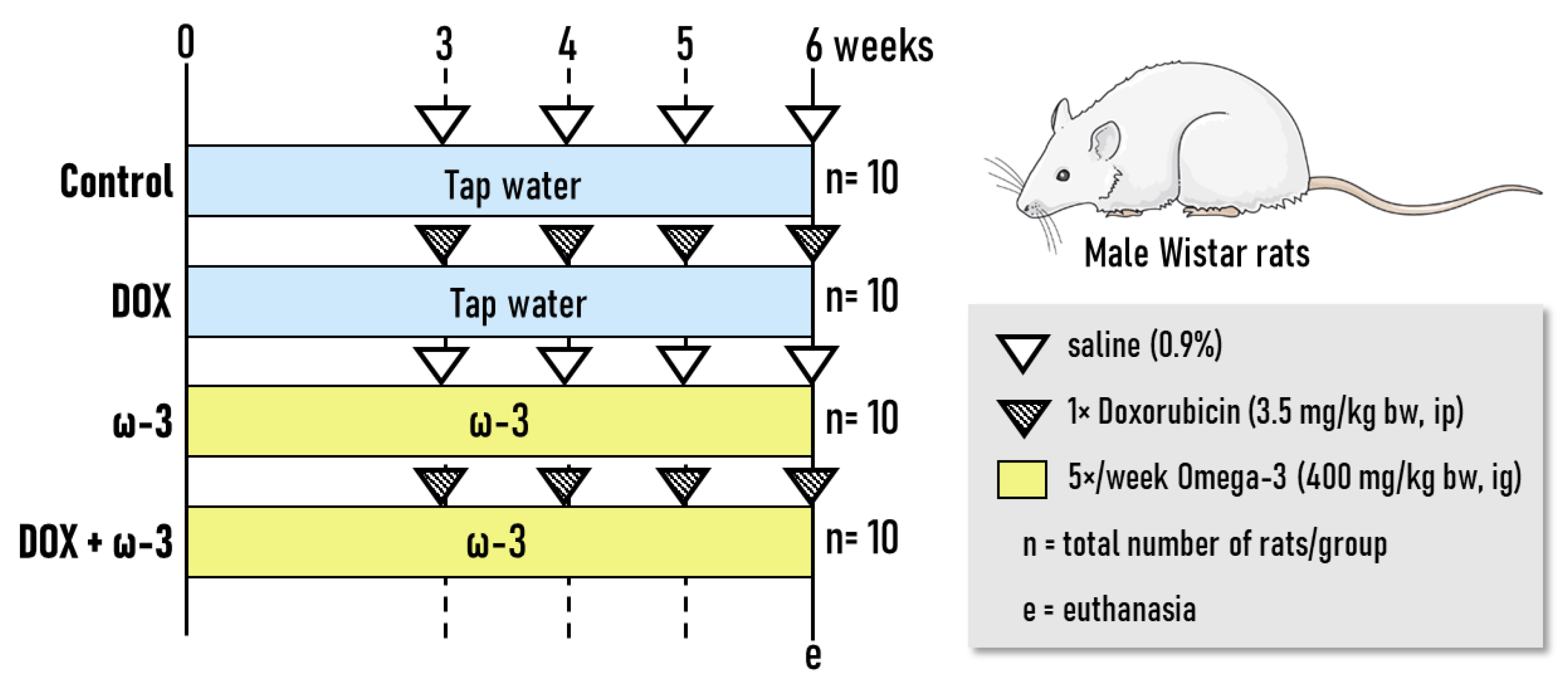Molecules 28 03004 g006