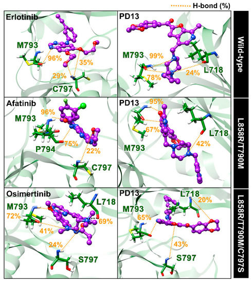 Discovery of Novel EGFR Inhibitor Targeting Wild-Type and Mutant Forms ...