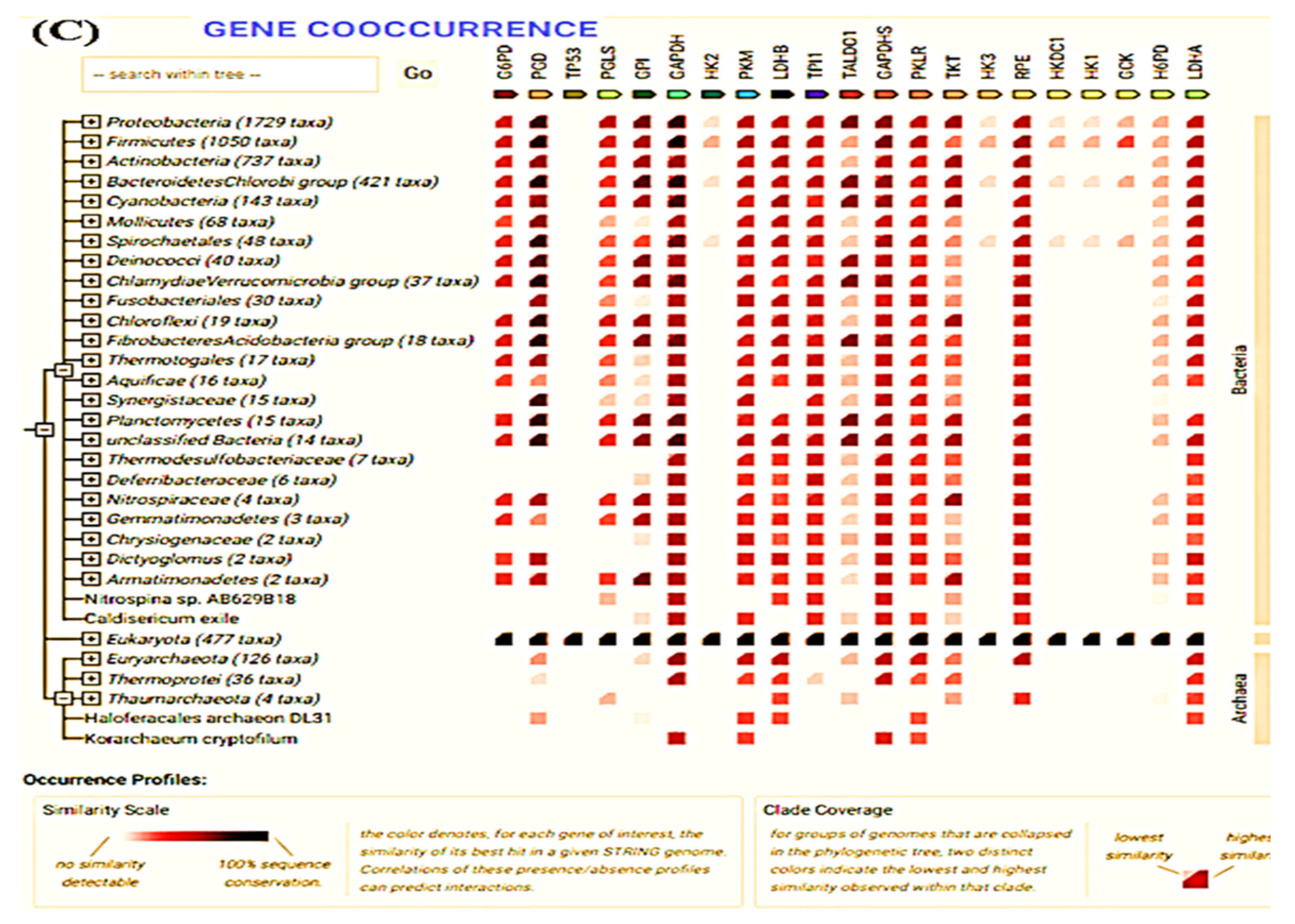 Molecules 28 03018 g008c Molecules 28 03018 g008c