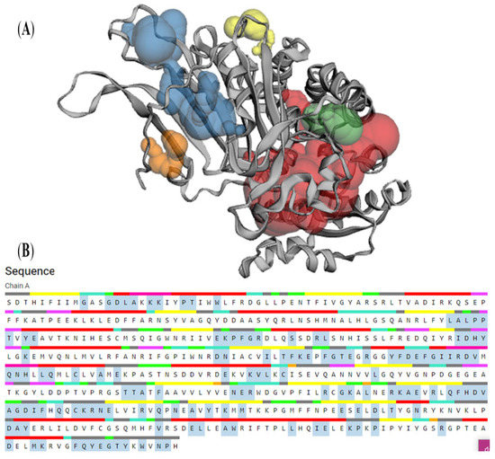 Computational Approaches for Identification of Potential