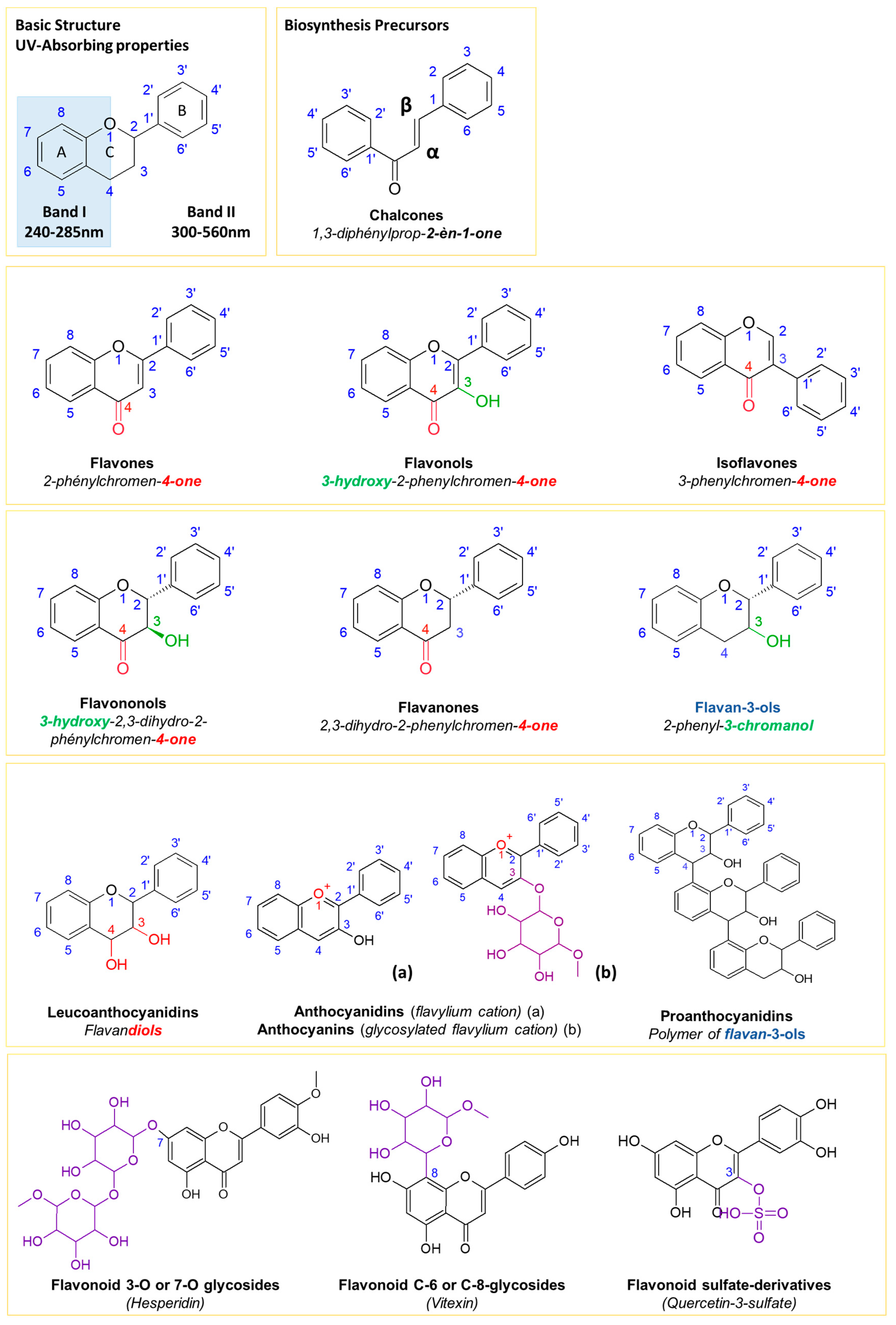 Molecules 28 03022 g001