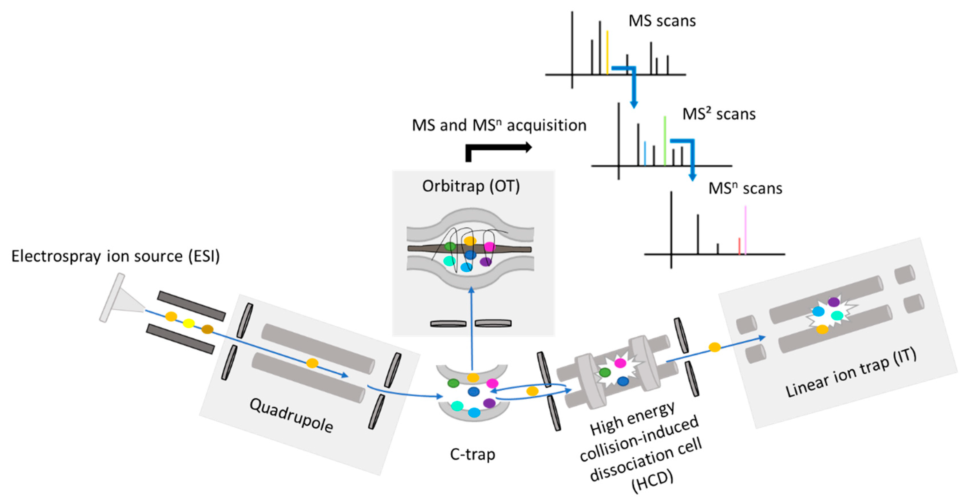 Molecules 28 03022 g007 Molecules 28 03022 g007