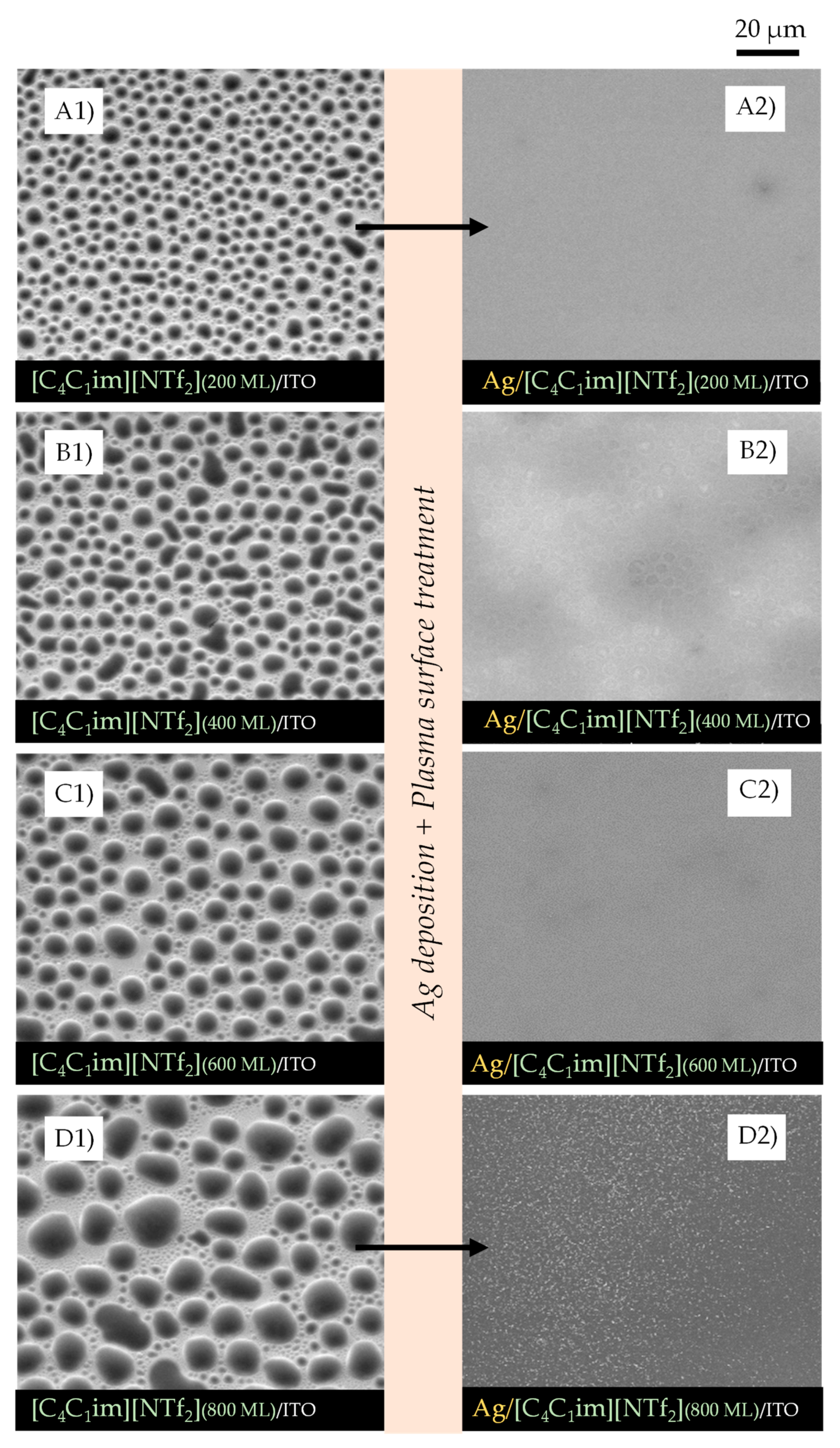 Molecules 28 03029 g002