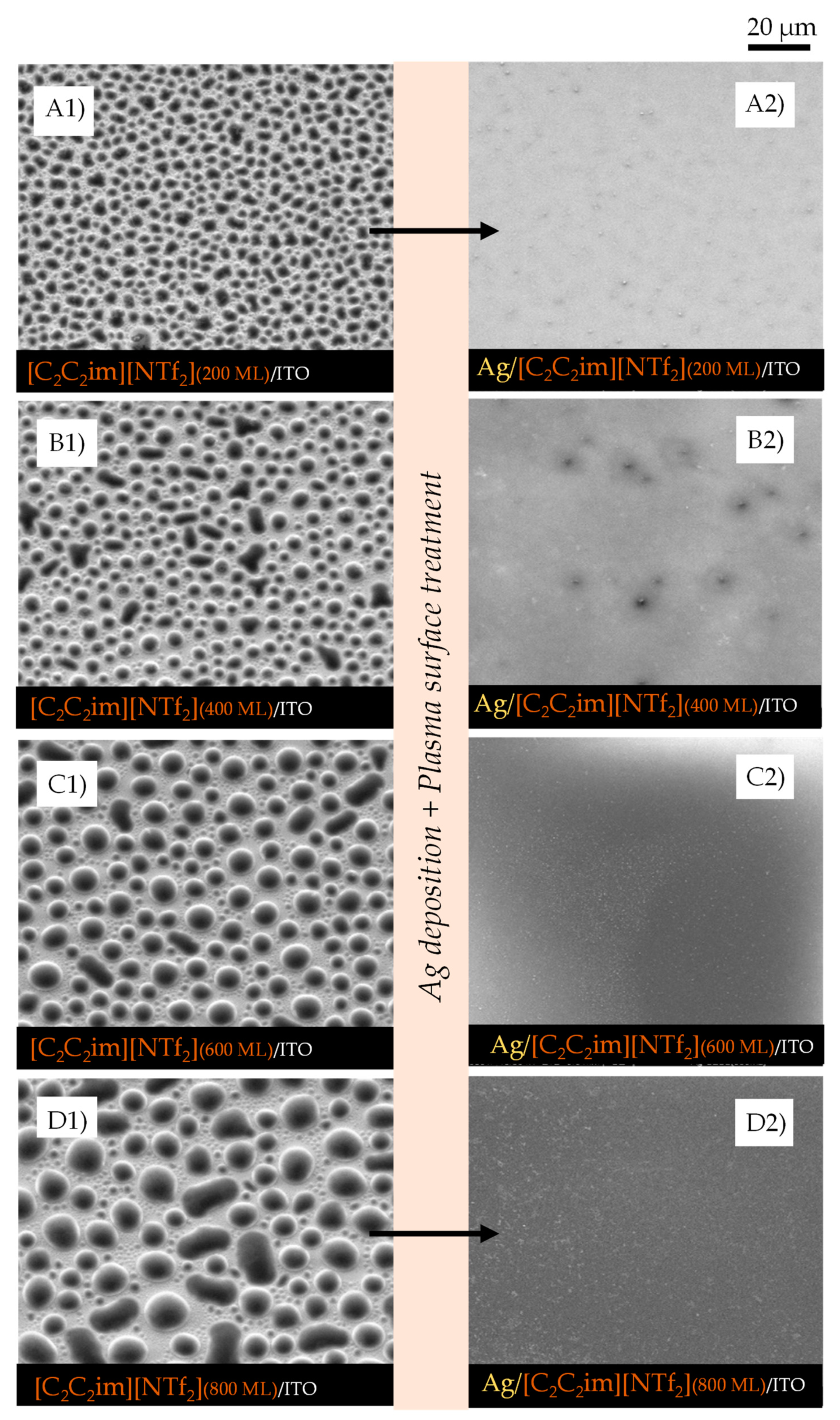 Molecules 28 03029 g003