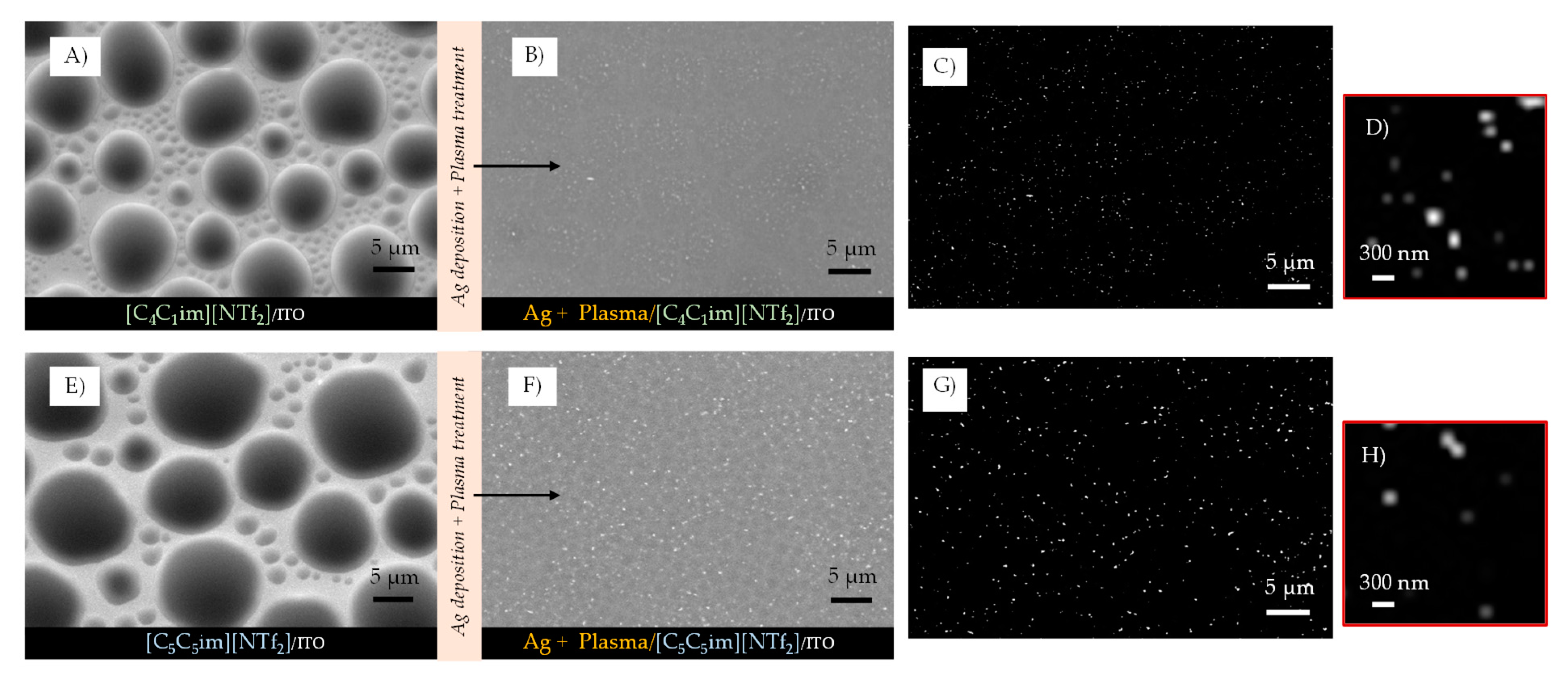 Molecules 28 03029 g005