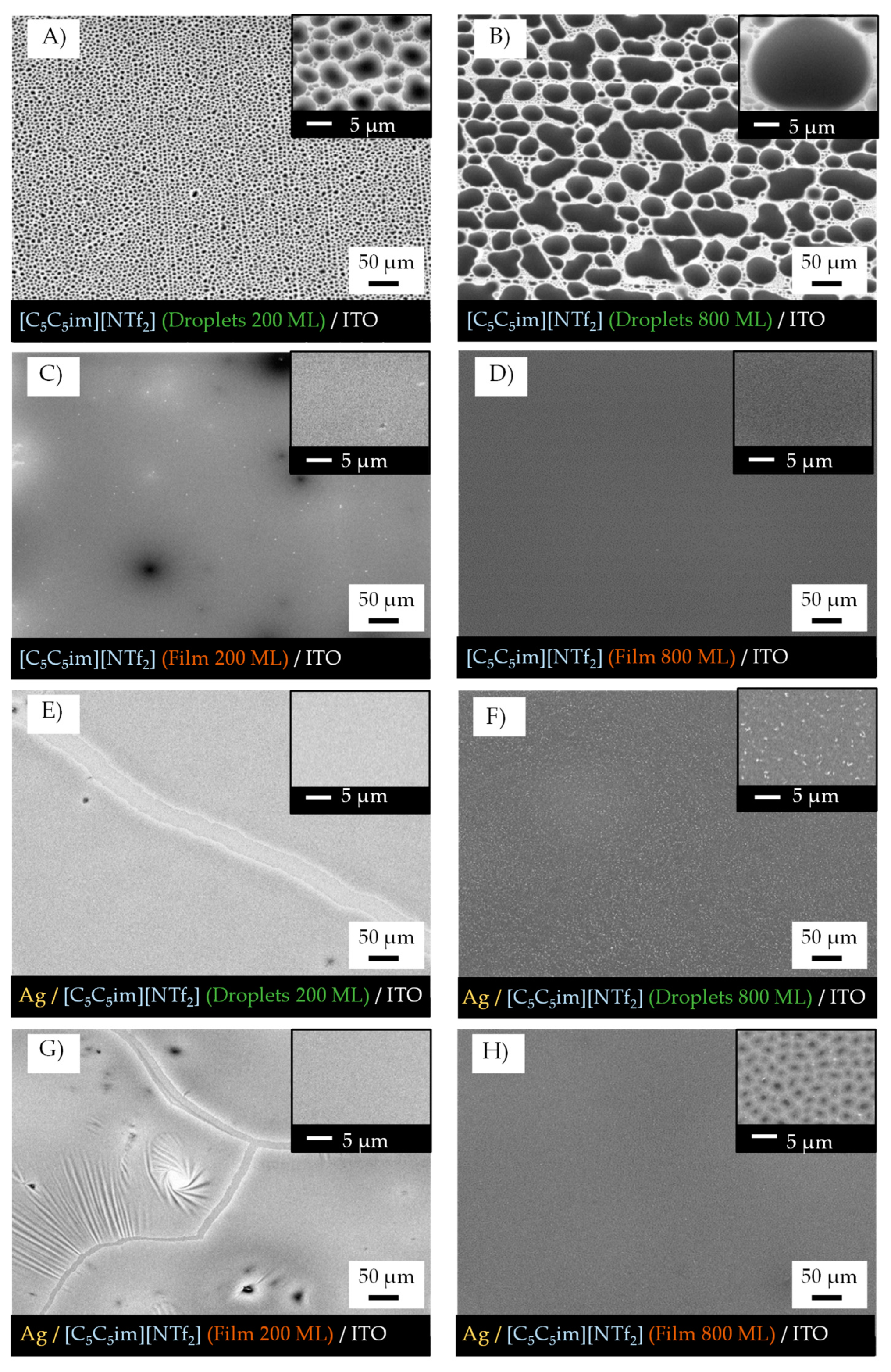 Molecules 28 03029 g008