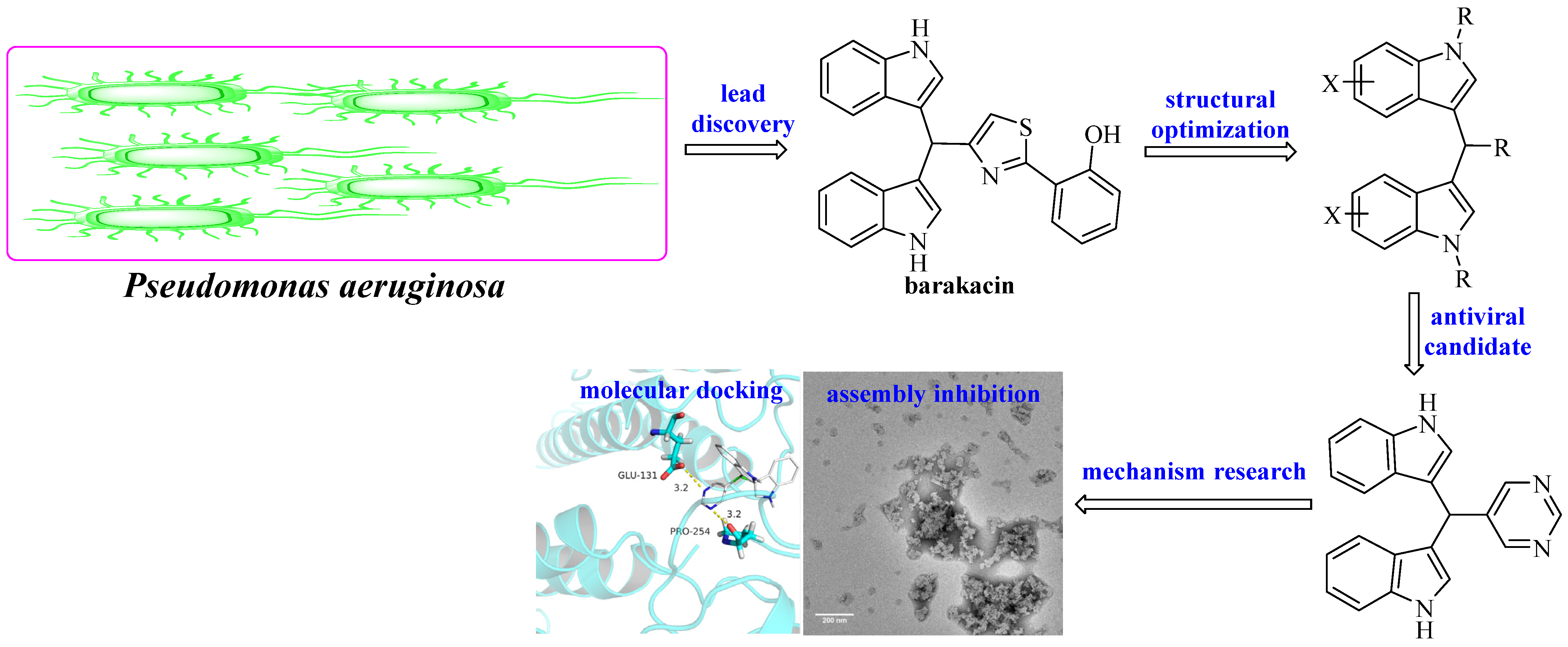 Molecules 28 03032 g001 Molecules 28 03032 g001