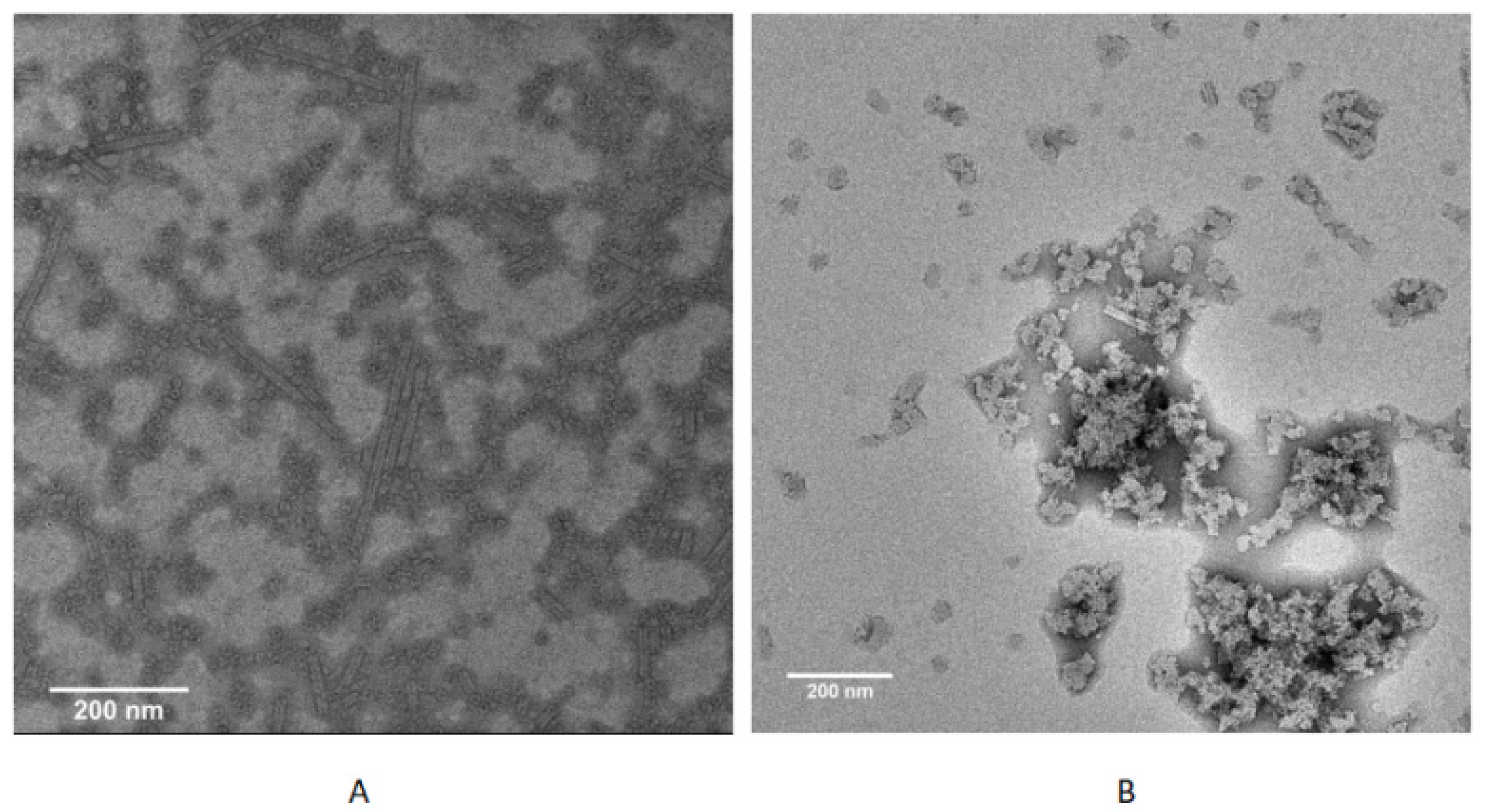 Molecules 28 03032 g002 Molecules 28 03032 g002