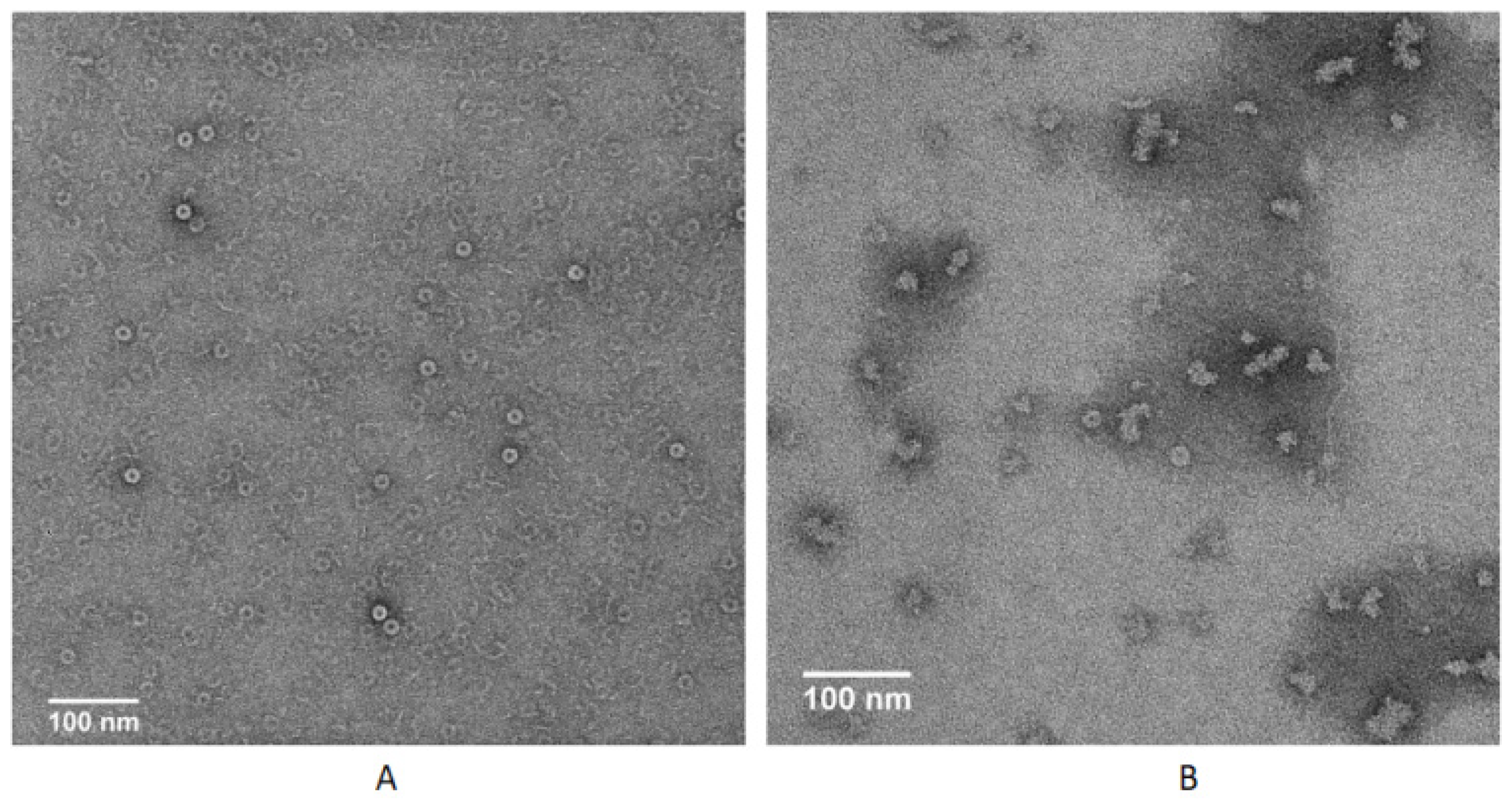 Molecules 28 03032 g003 Molecules 28 03032 g003
