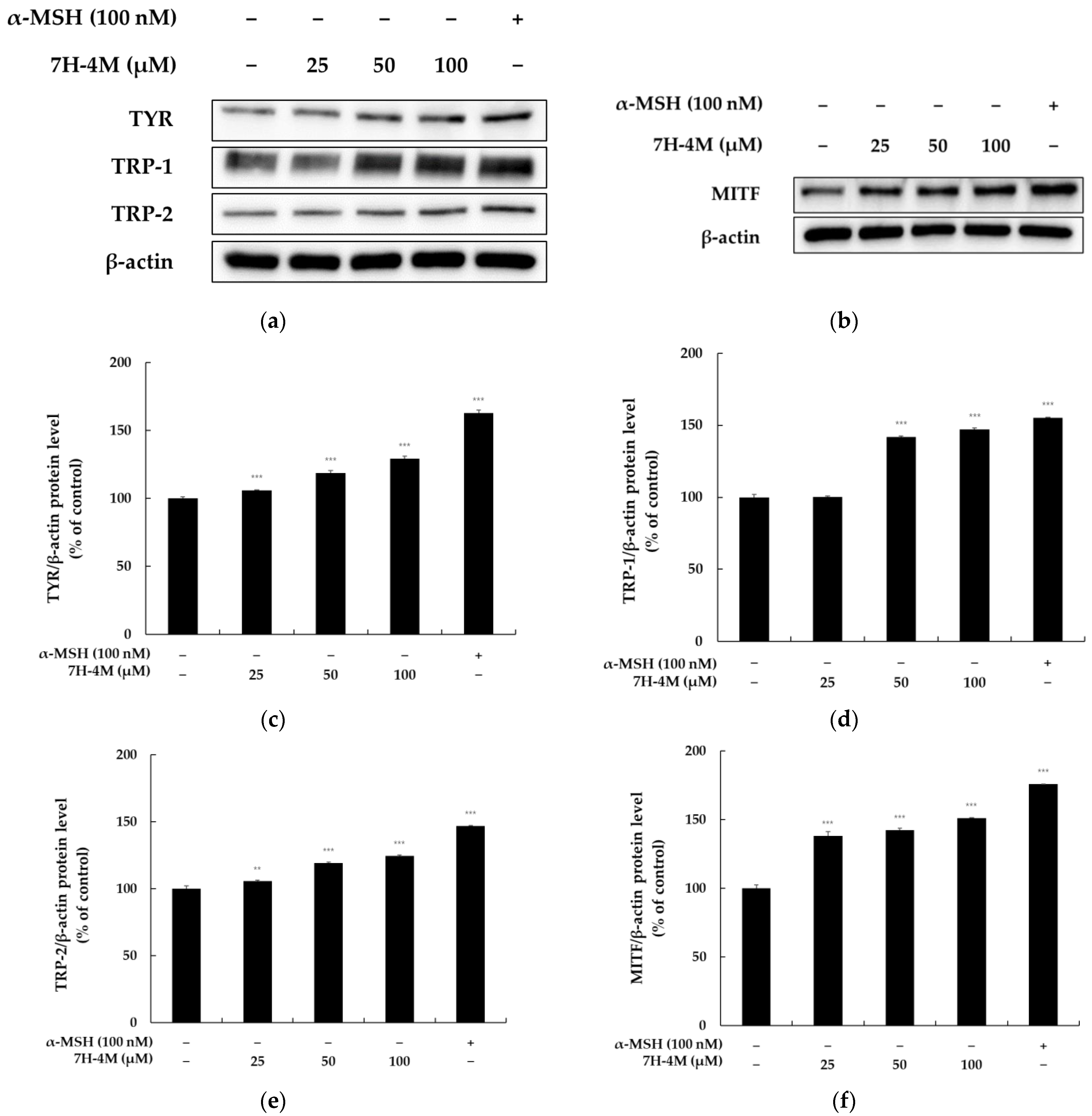 Molecules 28 03039 g004