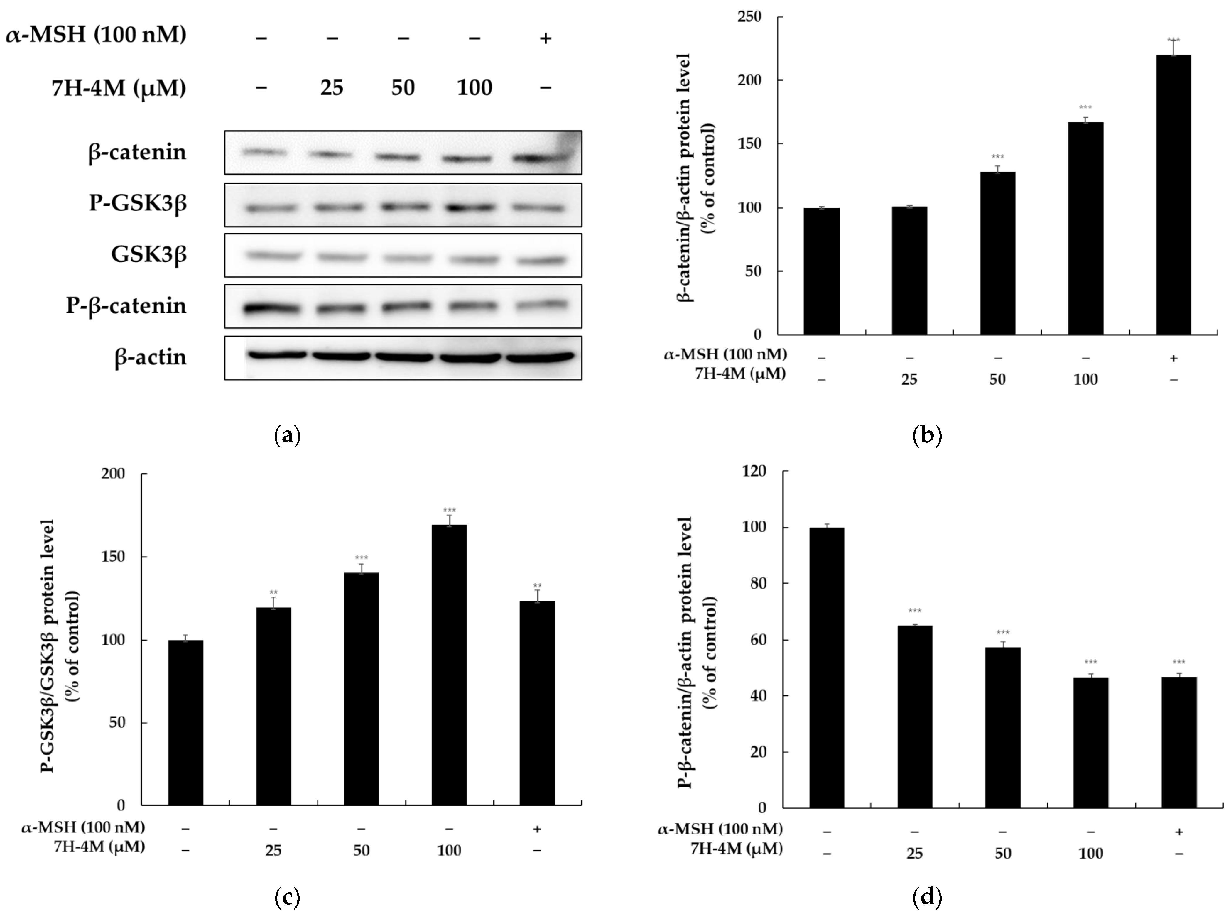 Molecules 28 03039 g005