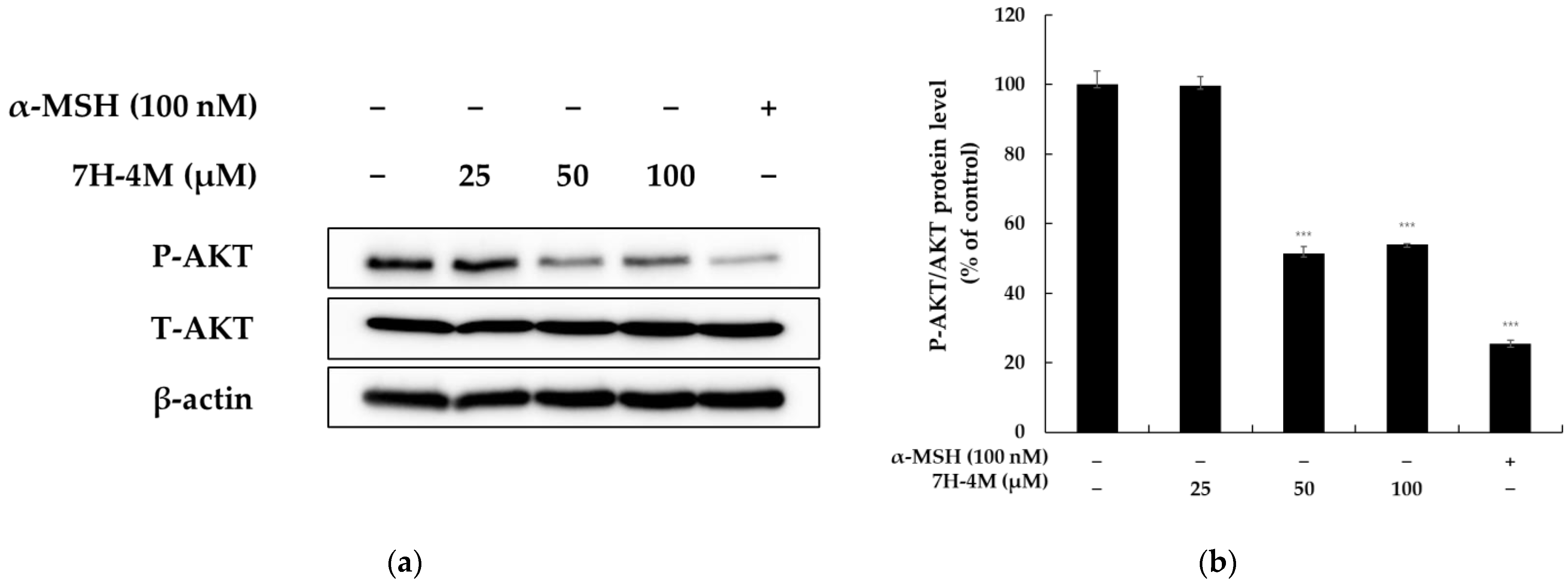 Molecules 28 03039 g006