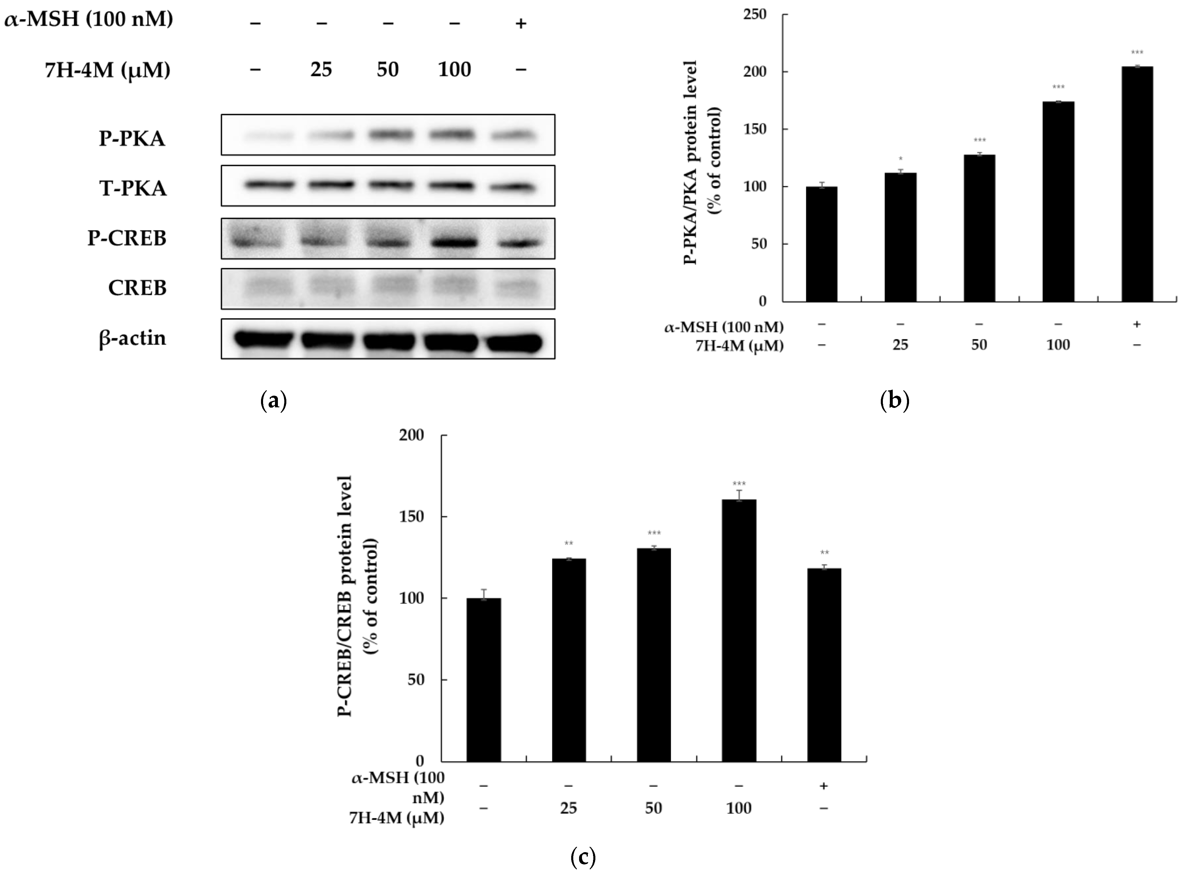 Molecules 28 03039 g007