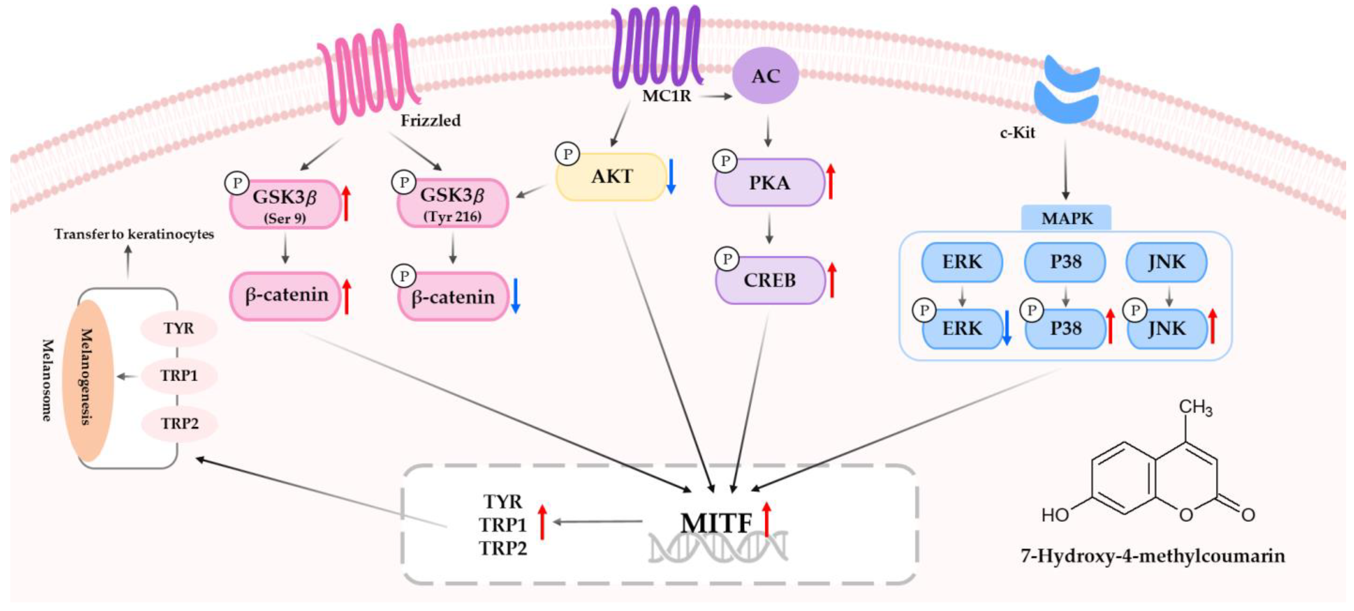 Molecules 28 03039 g010