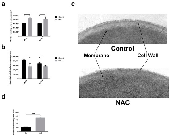 nano glutathione 800000 Effect of N-acetyl-l-cysteine on Cell Phenotype and Autophagy in Pichia pastoris Expressing Human Serum Albumin and Porcine Follicle-Stimulating Hormone Fusion Protein Amount:100MG