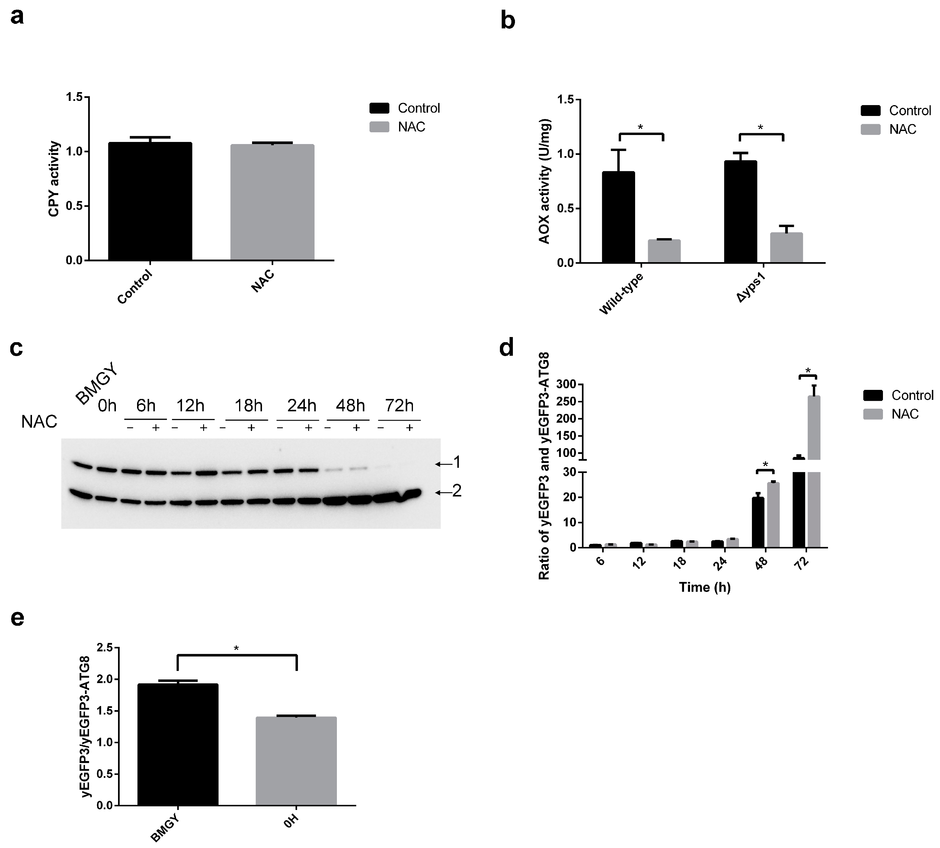 Molecules 28 03041 g004