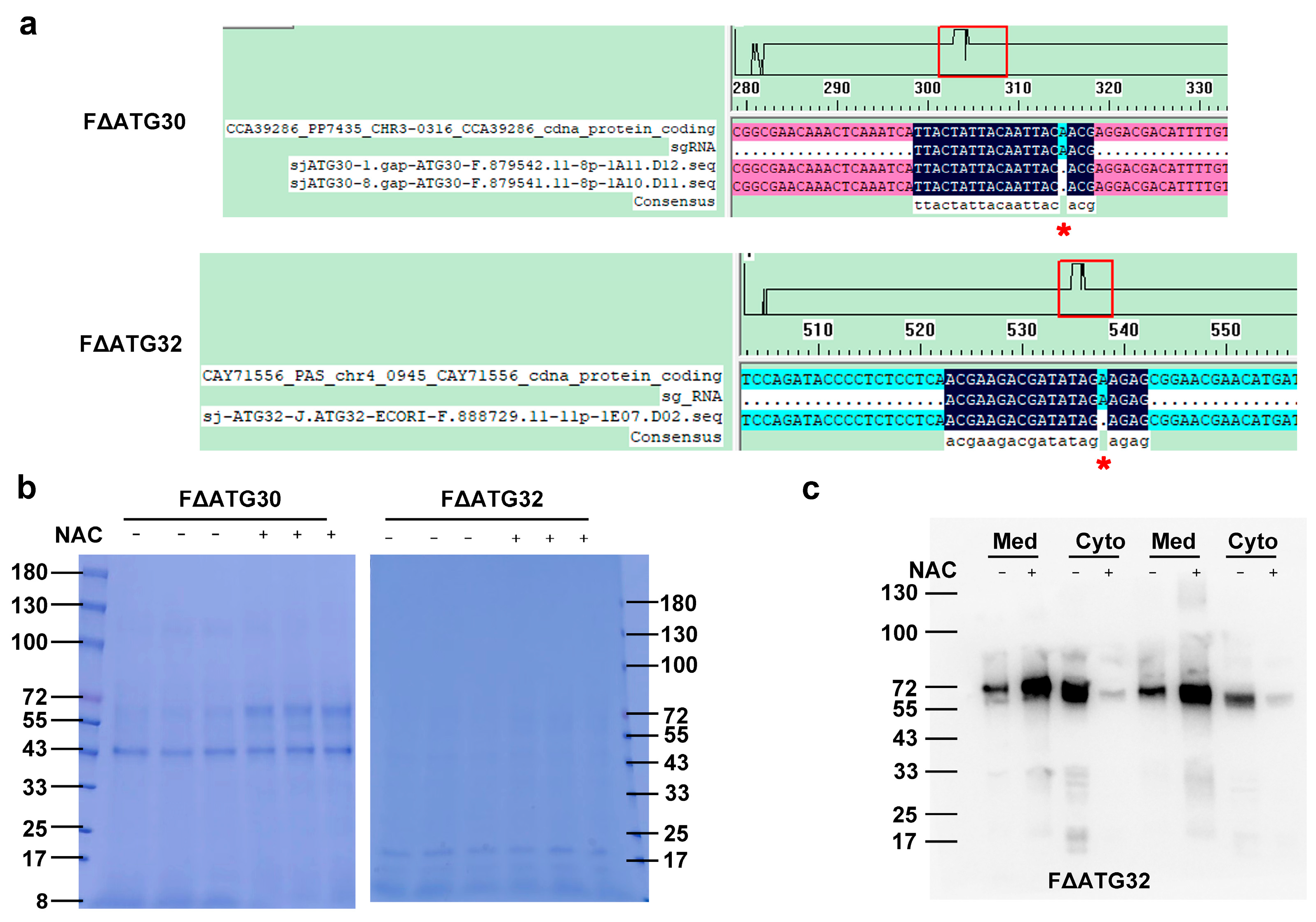 Molecules 28 03041 g007