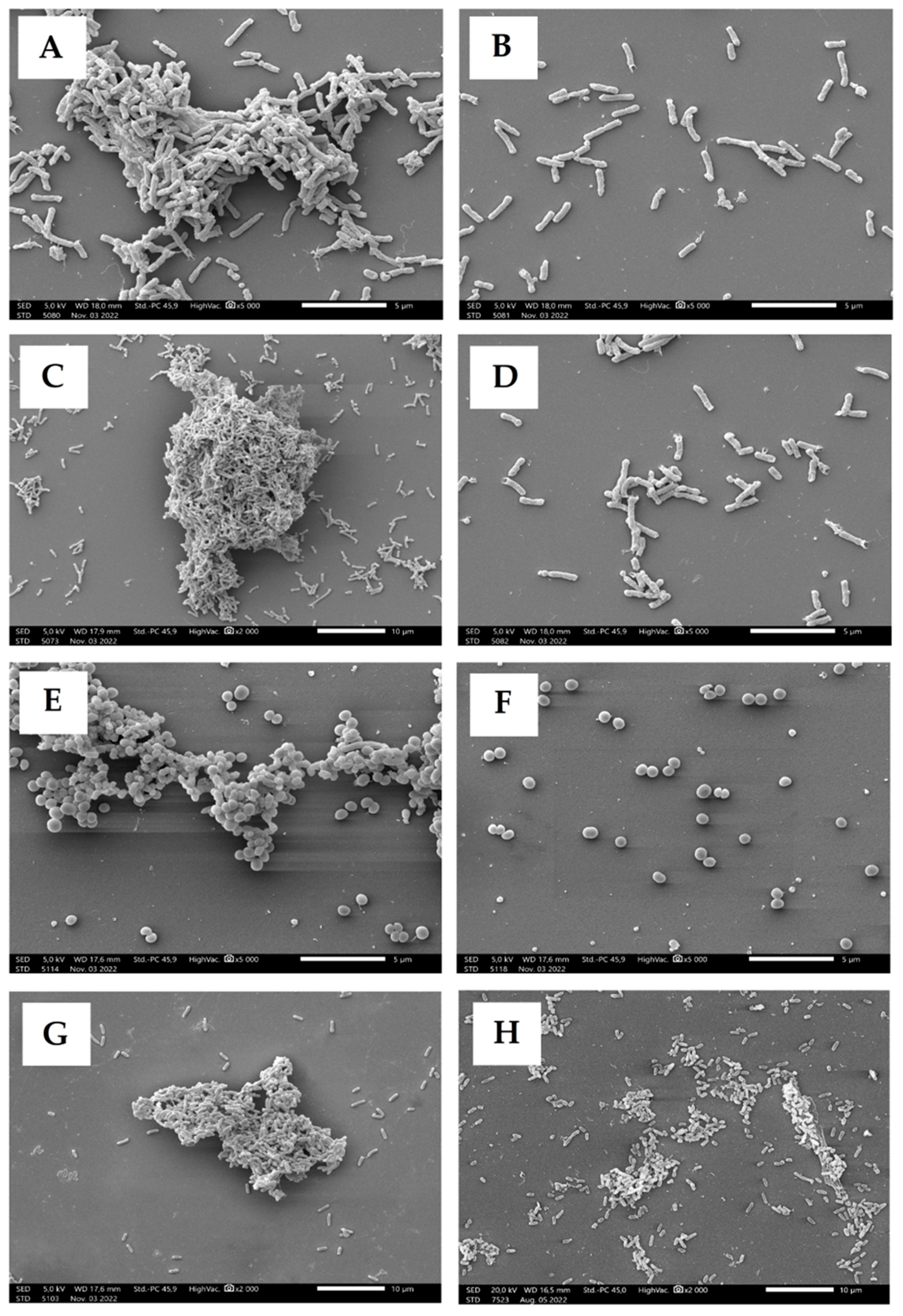 Molecules 28 03044 g003 Molecules 28 03044 g003