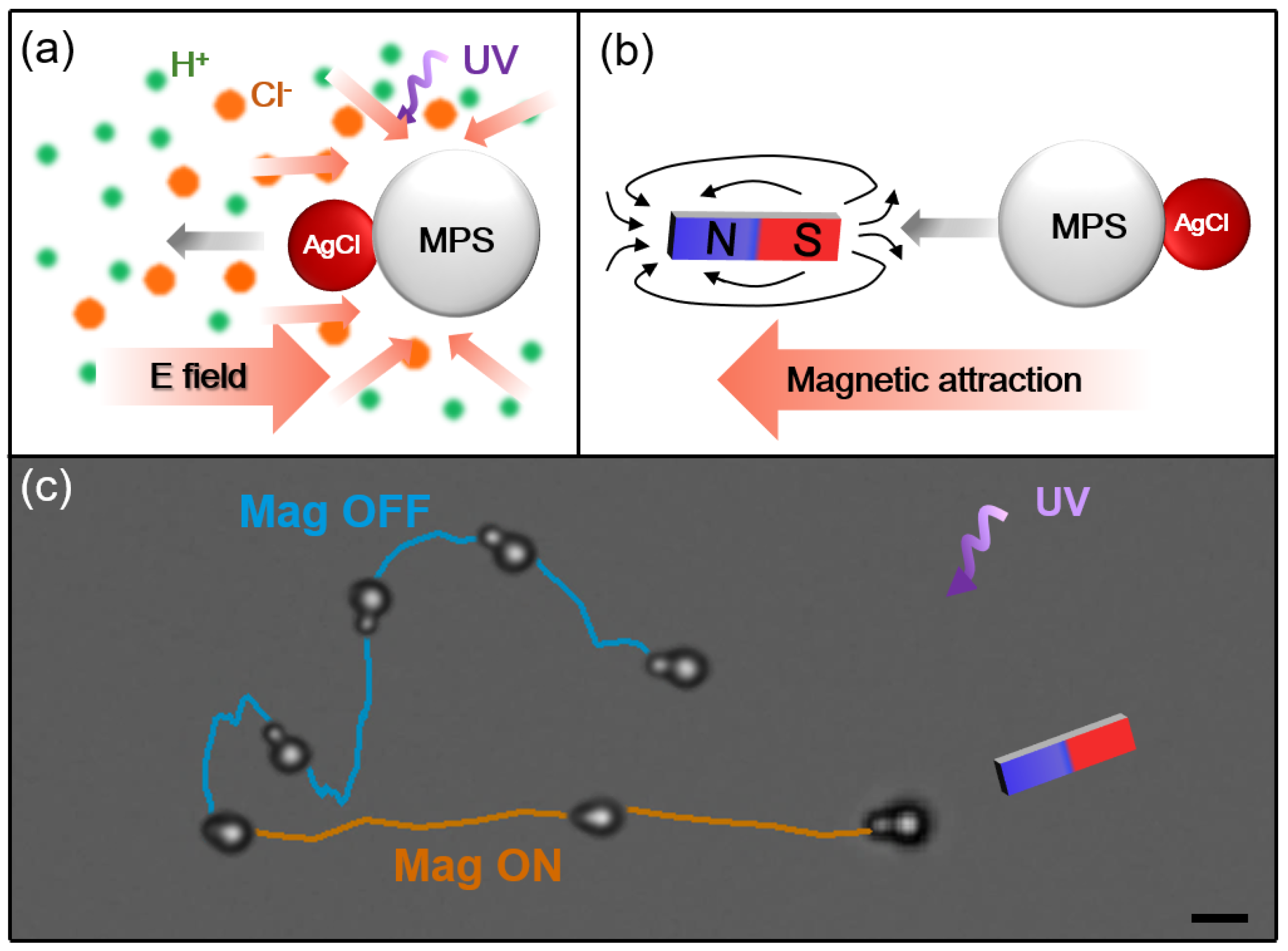 A Versatile Method for Synthesis of Light-Activated, Magnet
