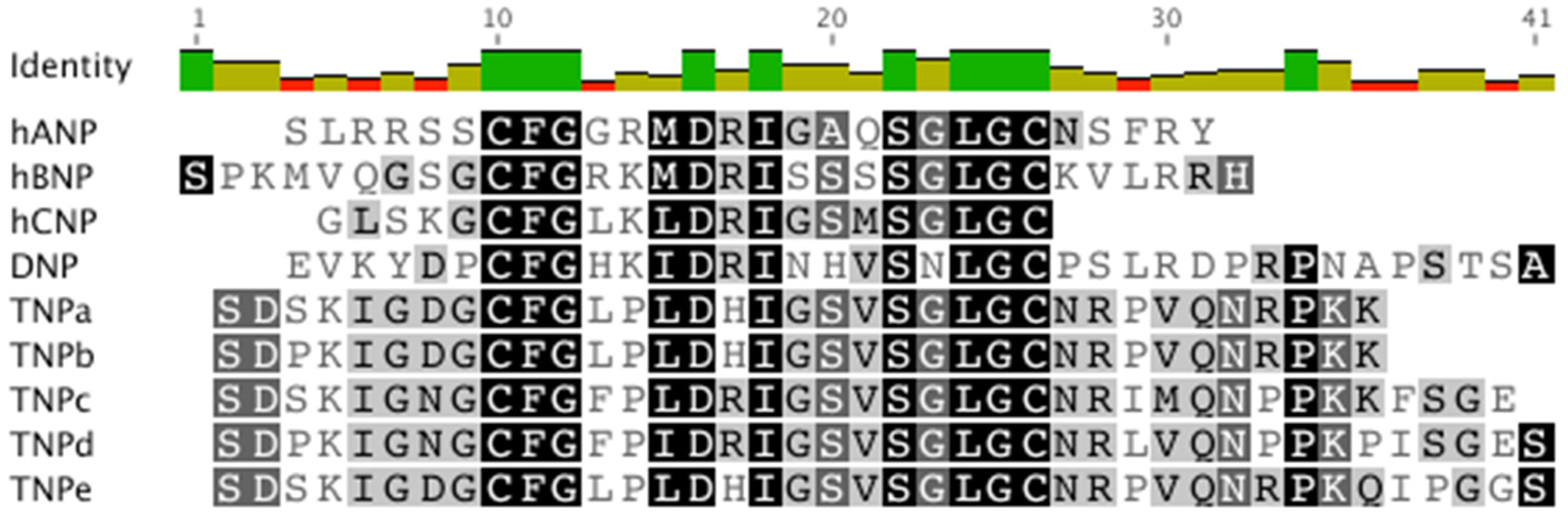 Molecules 28 03063 g001
