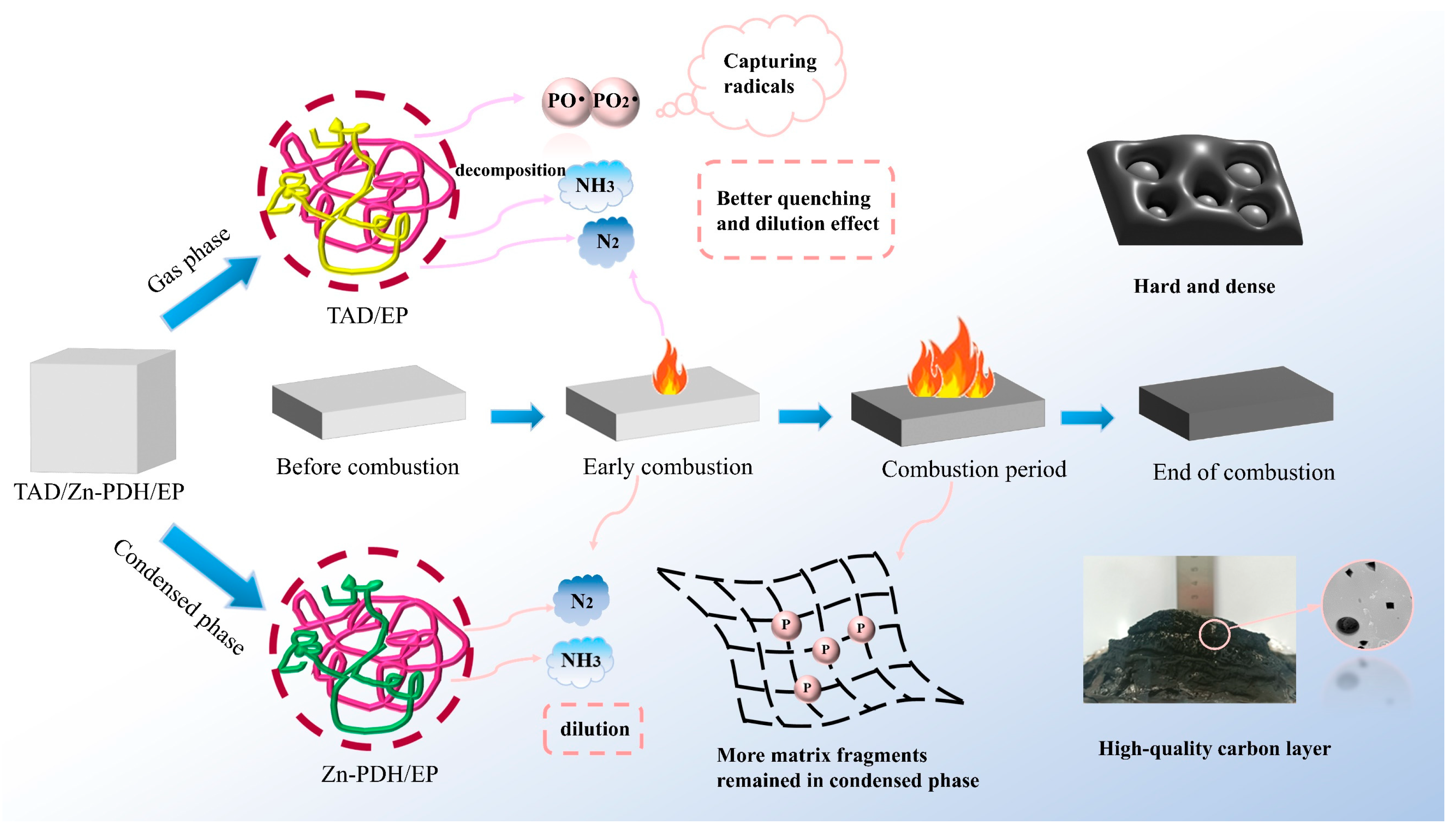 Molecules 28 03069 g010