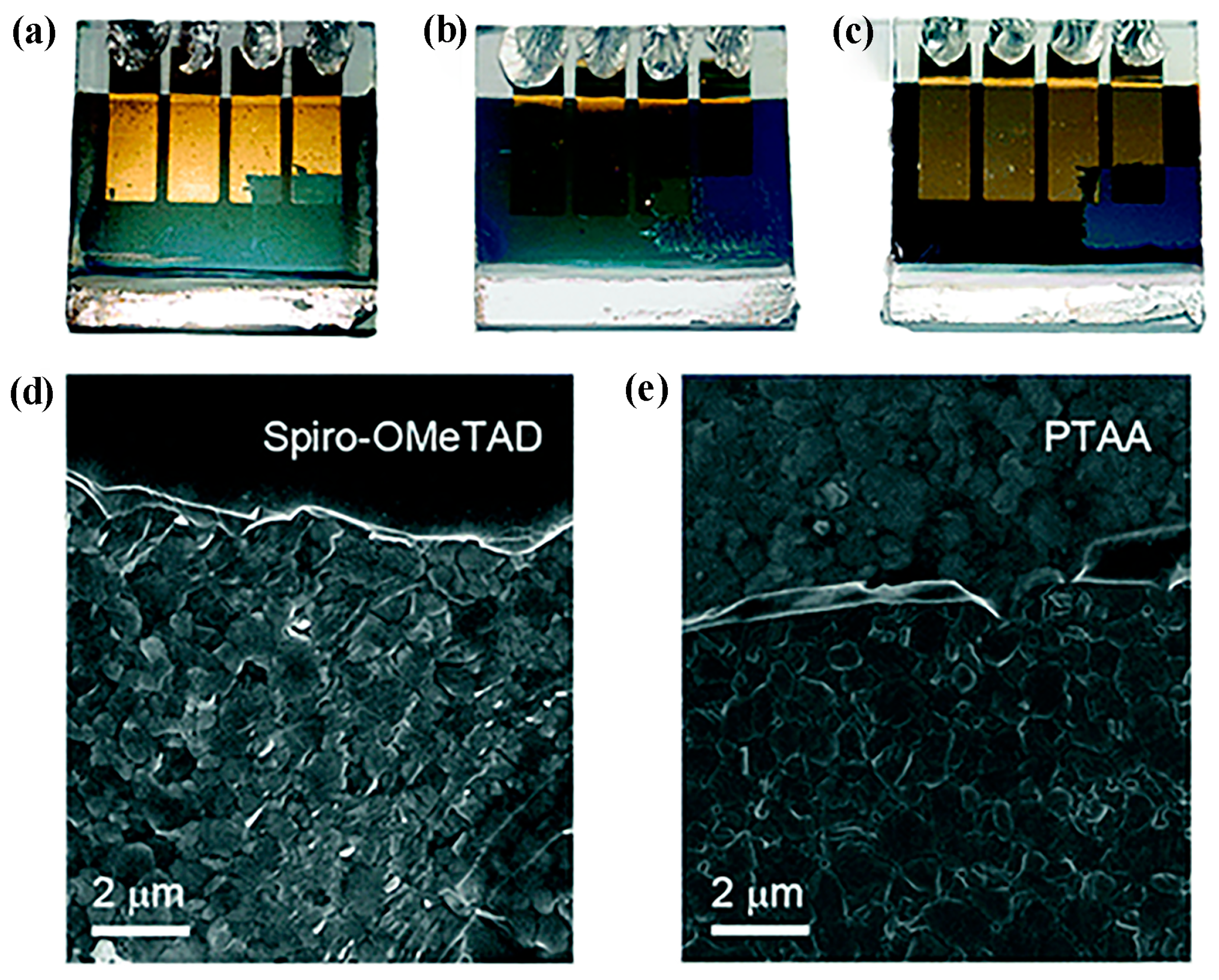 Molecules 28 03076 g004 Molecules 28 03076 g004