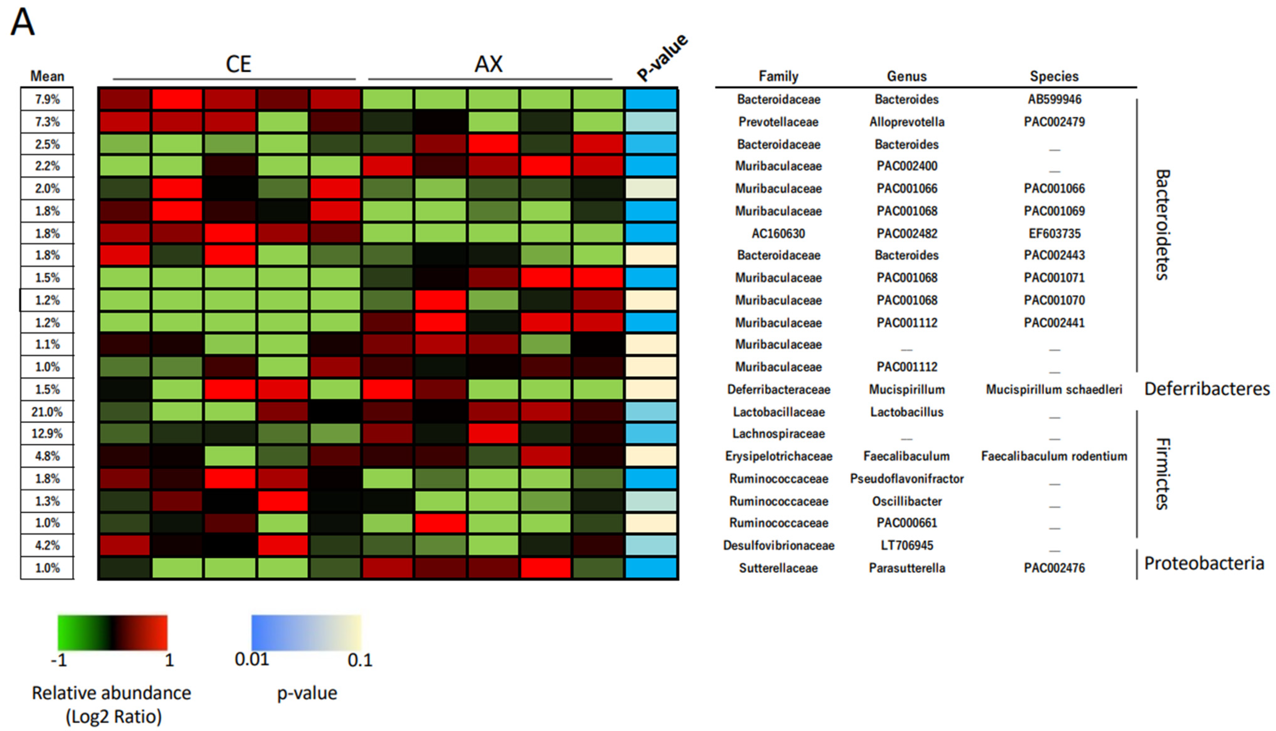 Impact of Wheat Bran Derived Arabinoxylanoligosaccharides and