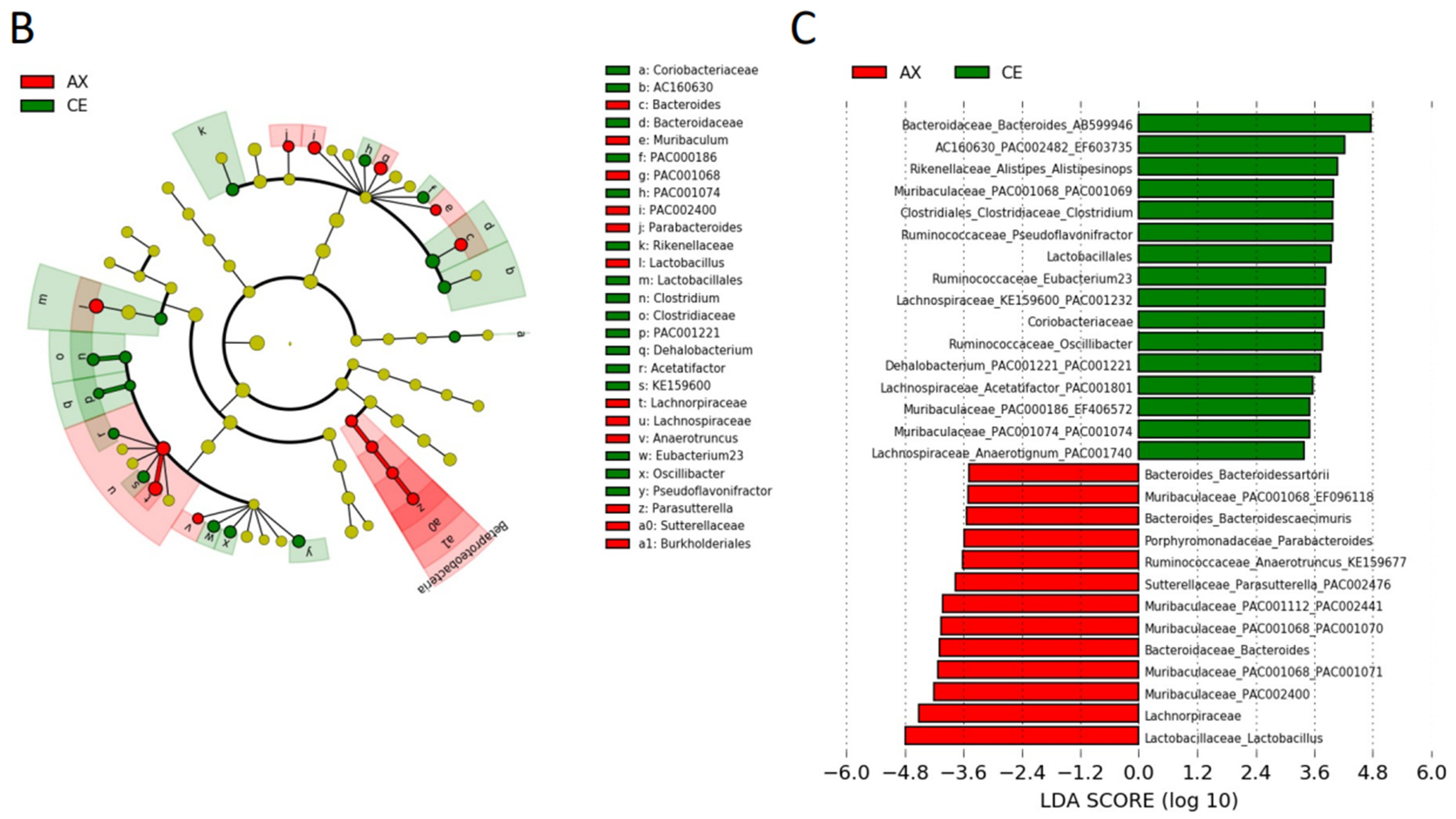 Impact of Wheat Bran Derived Arabinoxylanoligosaccharides and